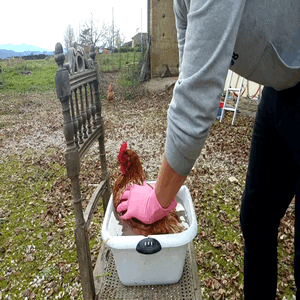 VID_20211225_153557_Trim (2).gif