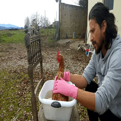 VID_20211225_152456_Trim (3).gif