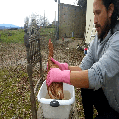 VID_20211225_152456_Trim (7).gif