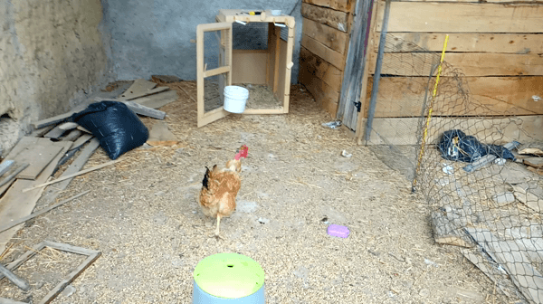 Hnet.com-image (5).gif
