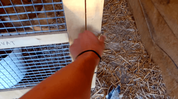 Hnet-image (14).gif
