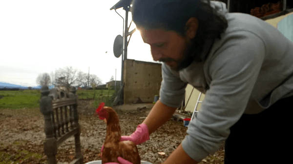 Hnet-image (24).gif