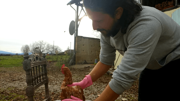 Hnet-image (23).gif