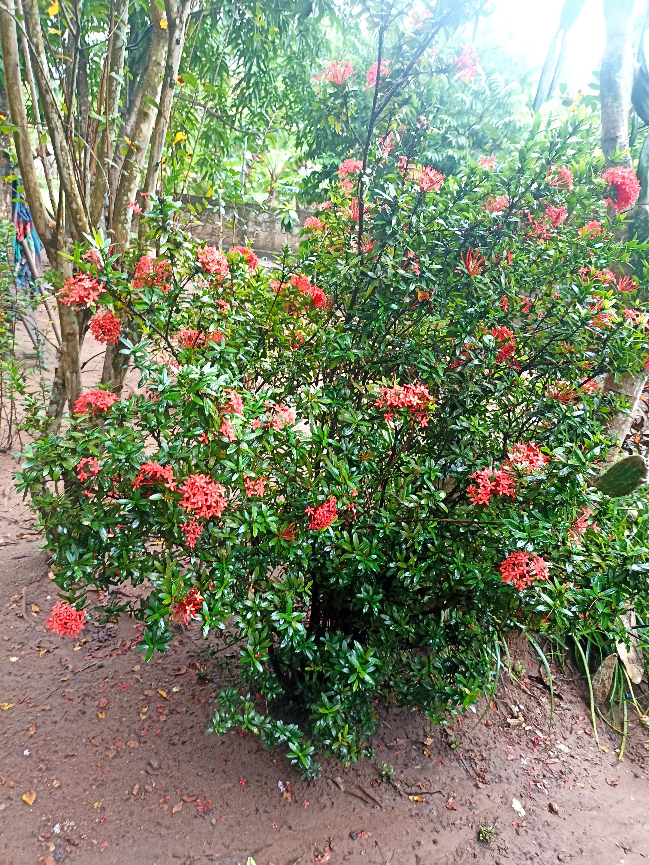 IMG_20250810_140905.jpg