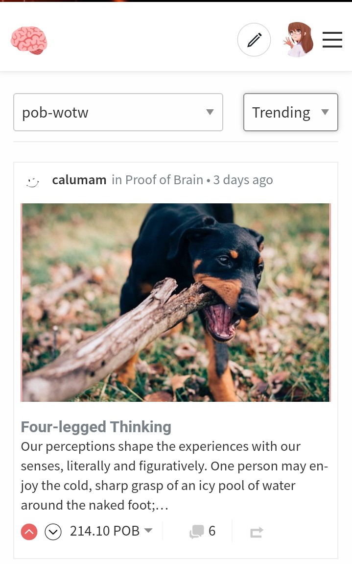 pobtag.jpg