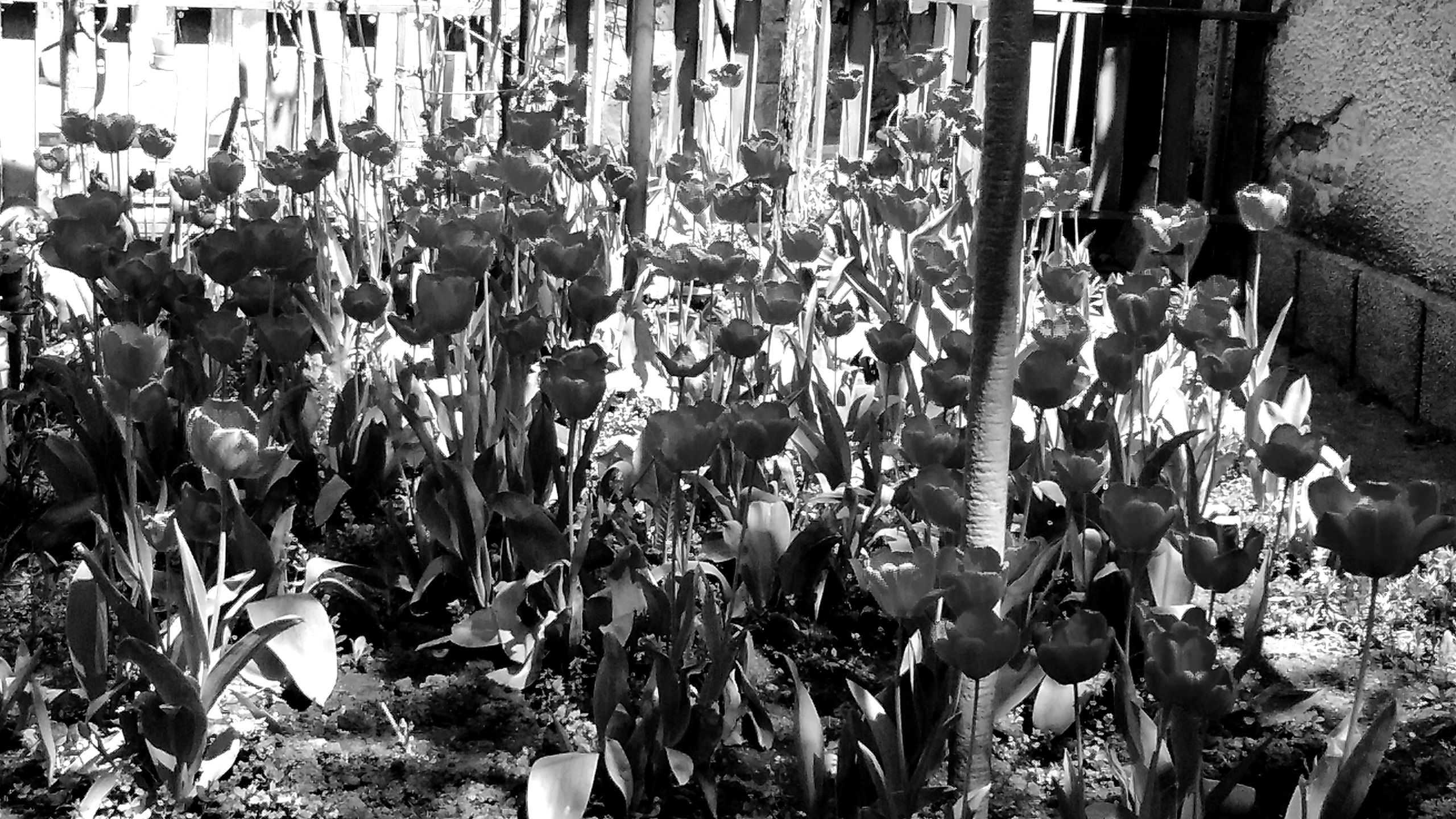 IMG_20200428_131001591+ - Copy.jpg