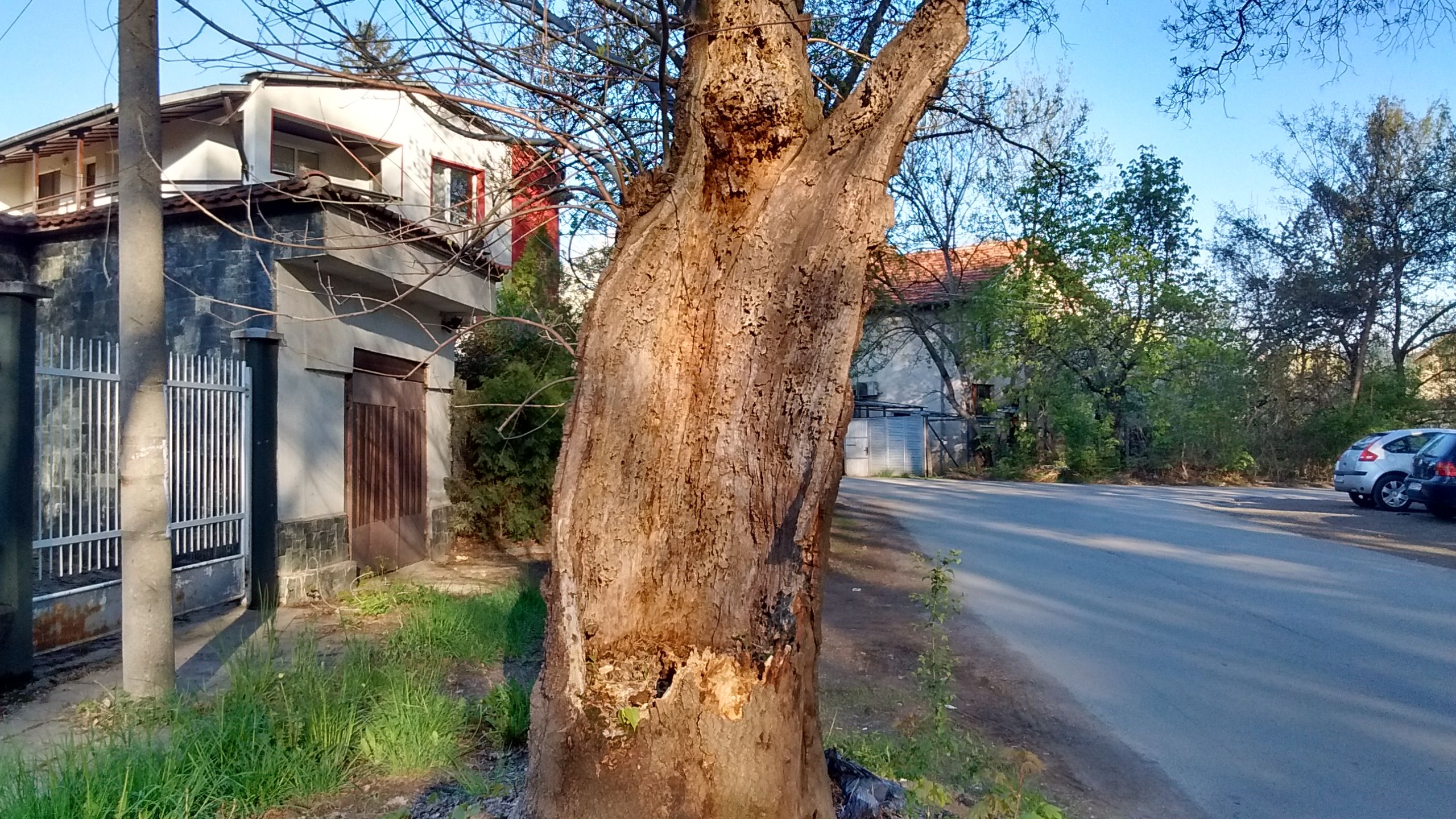 IMG_20190417_081137114_HDR++.jpg