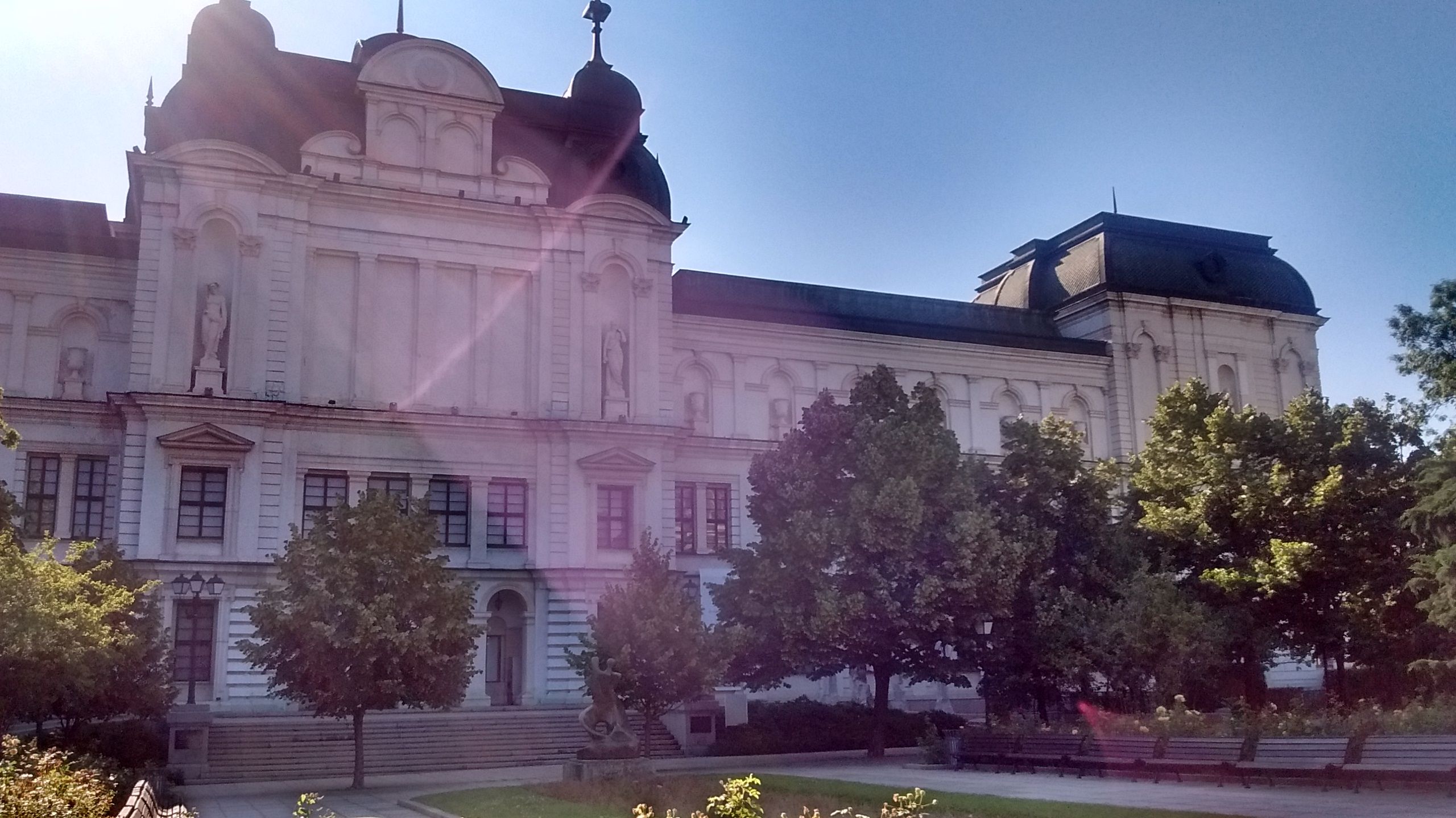IMG_20200628_090952705_HDR++.jpg