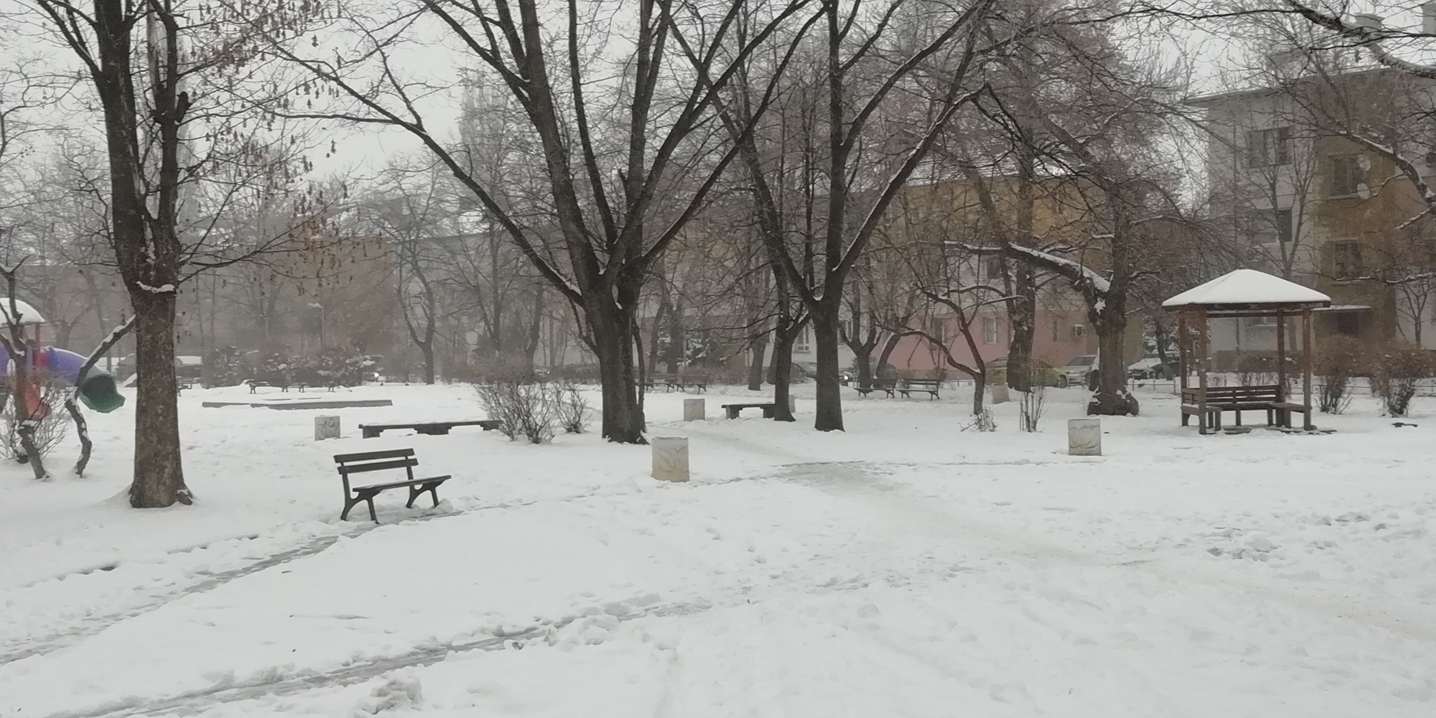 IMG_20181220_085136++.jpg