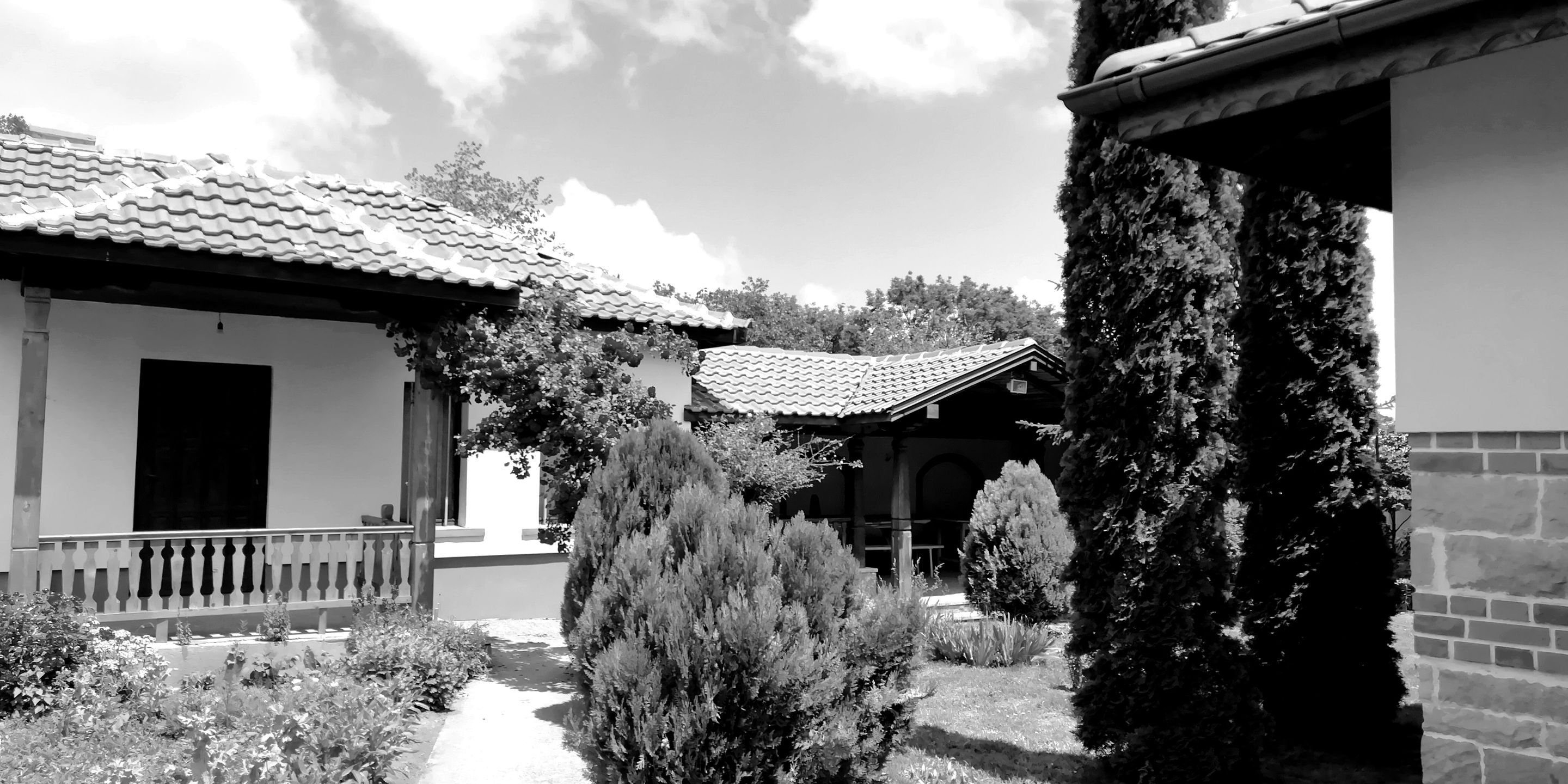 IMG_20200621_133033+ - Copy (2)+.jpg