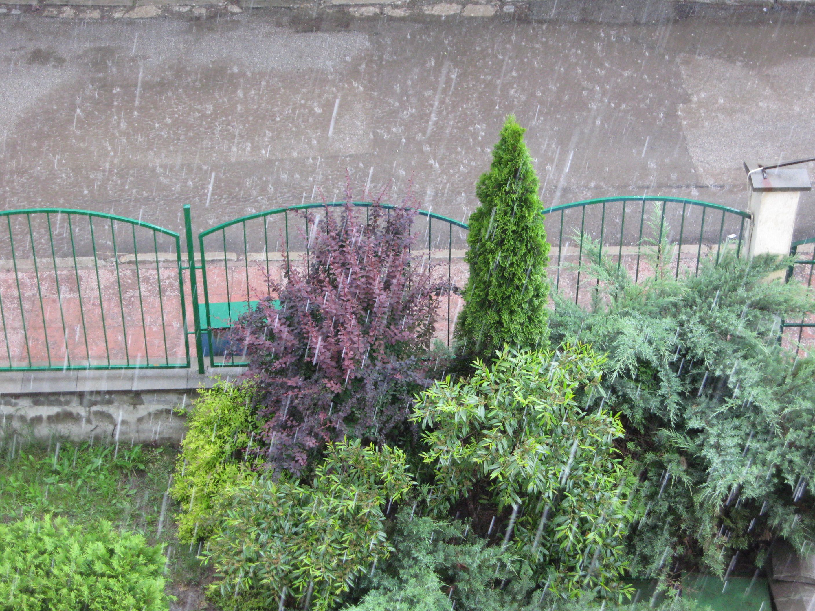 IMG_9007++.JPG