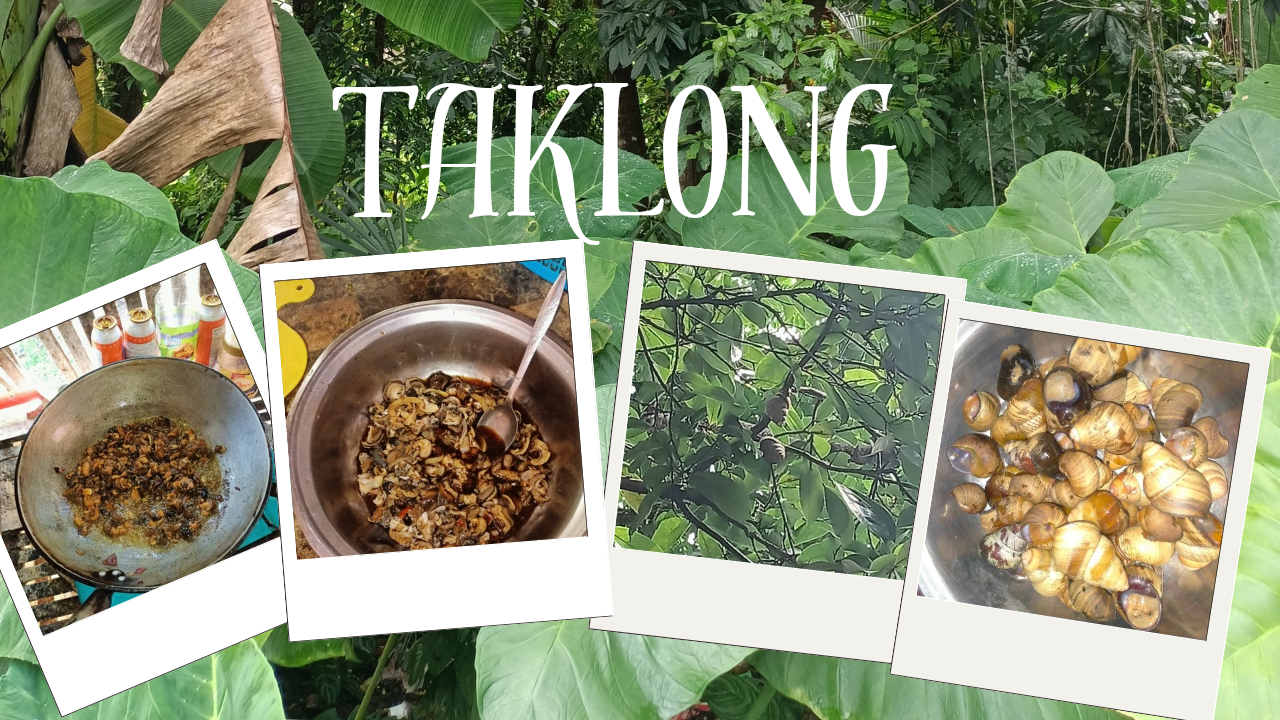 Simple Photo Collage Travel City Tour YouTube Thumbnail_20250831_110551_0000.png