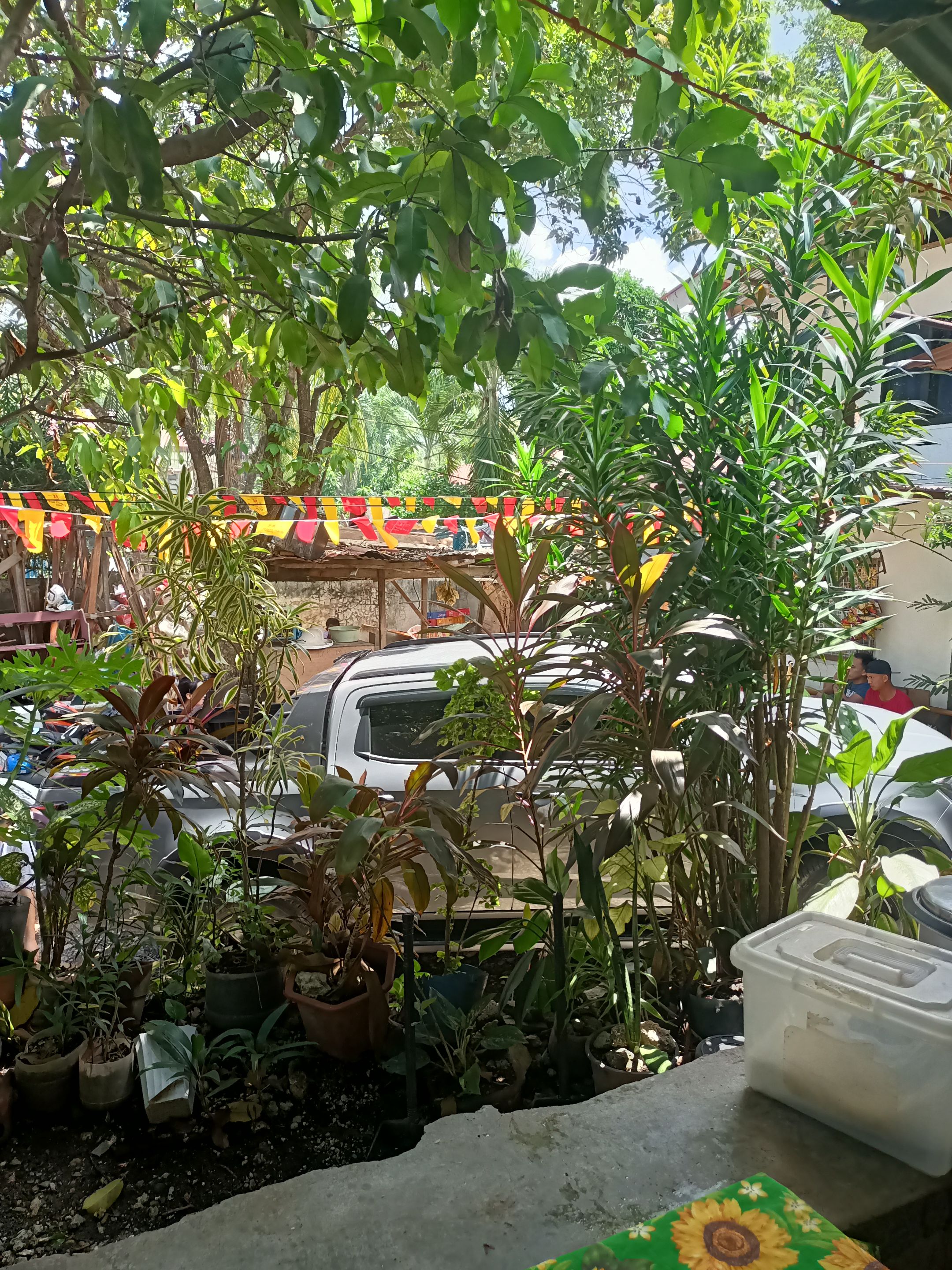 IMG20250816124030.jpg