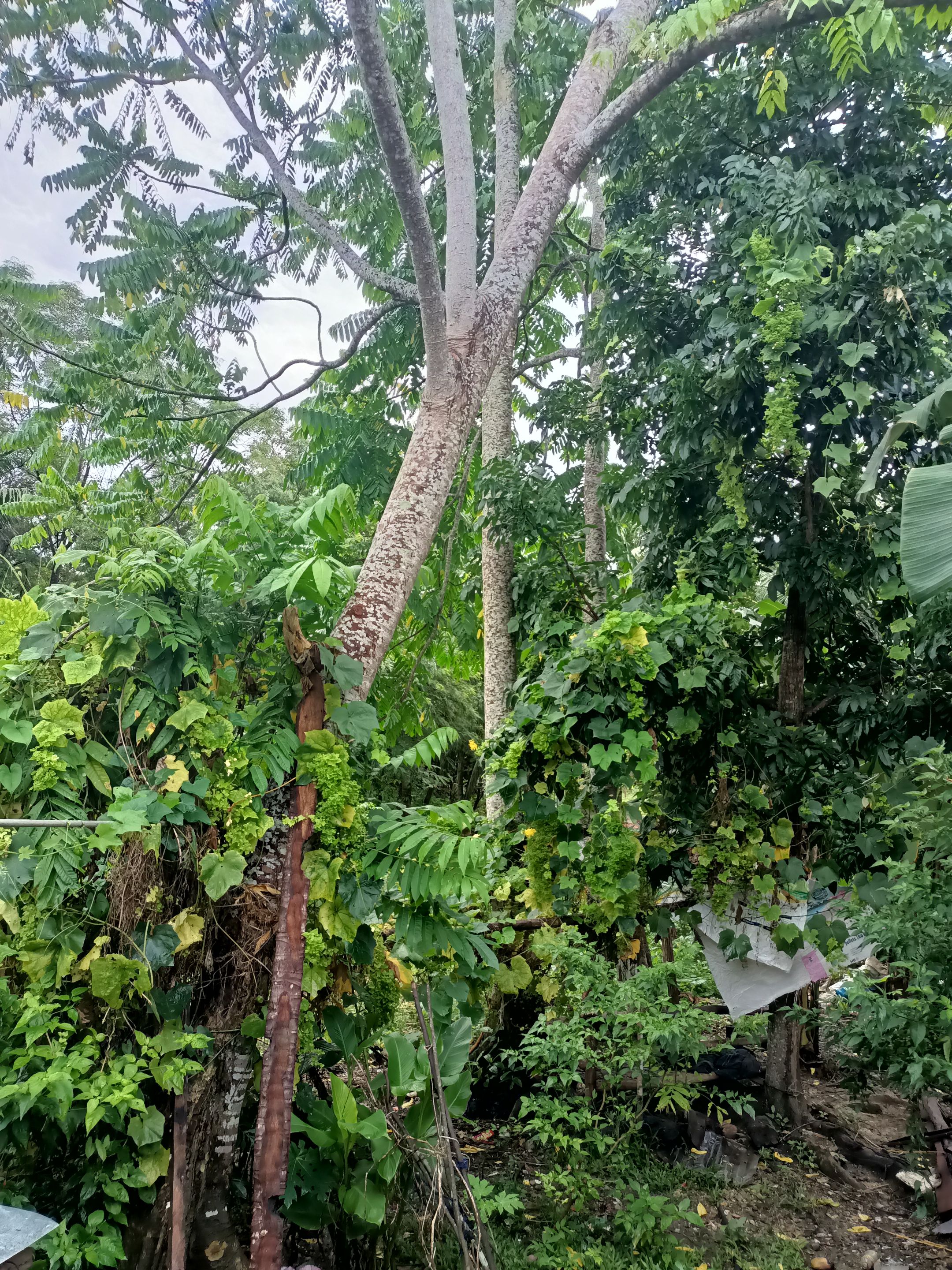 IMG20250831090217.jpg