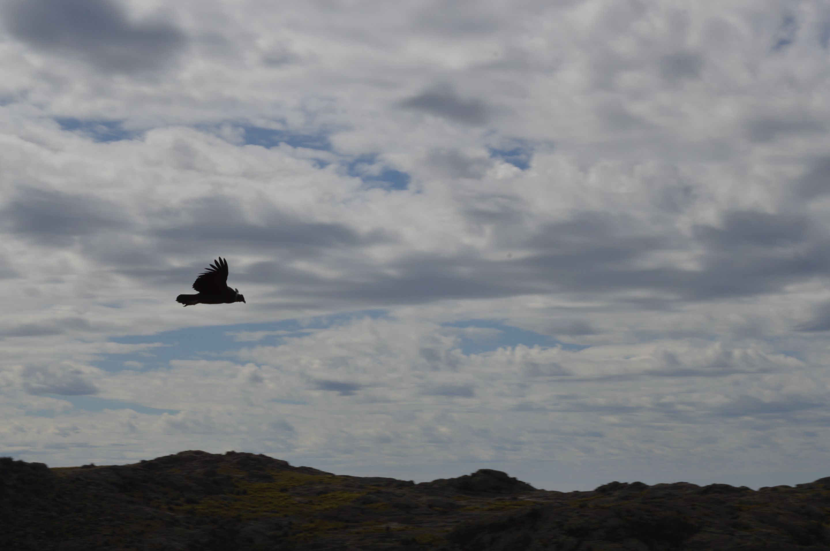 DSC_0346.JPG