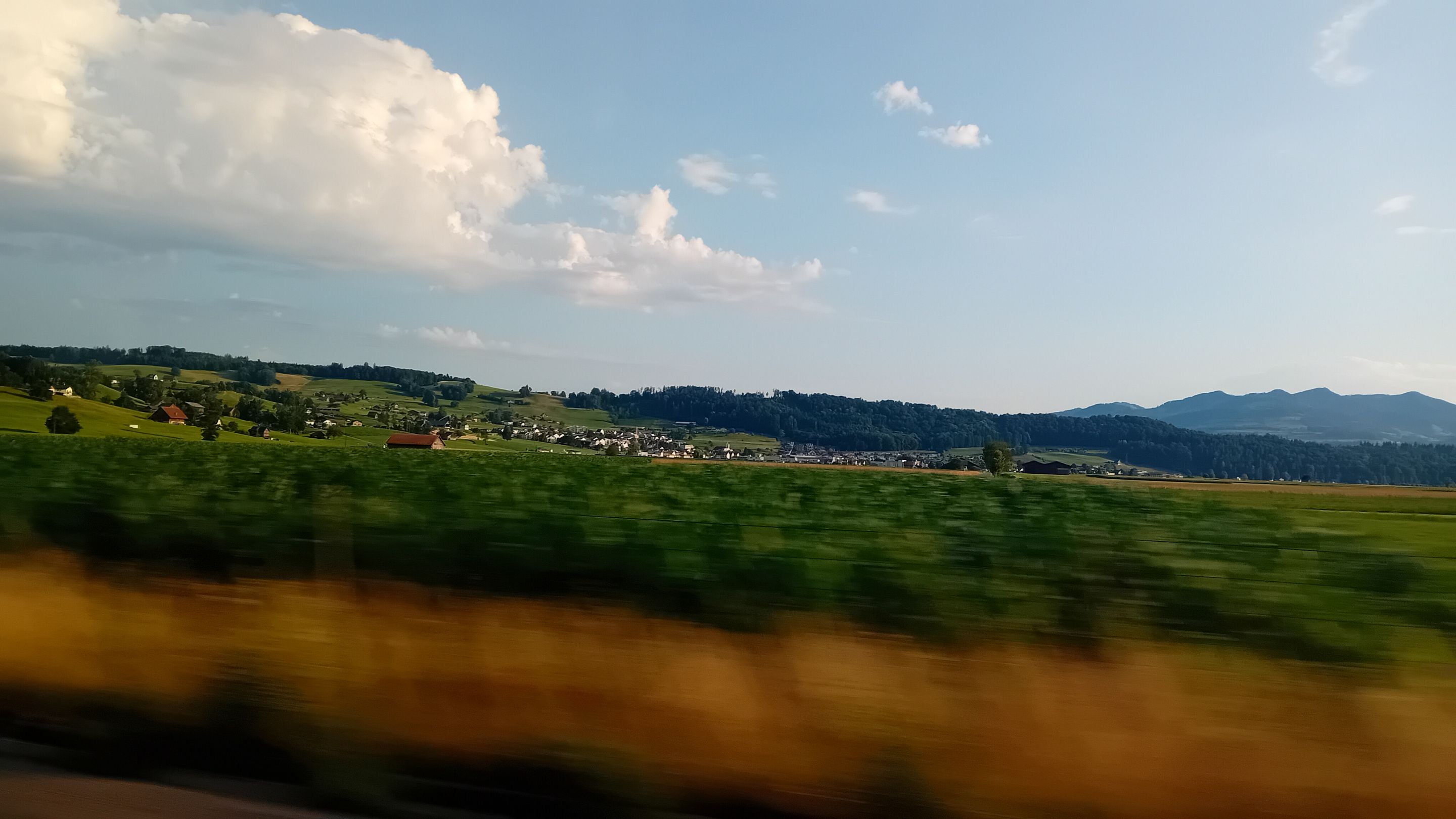 20250703_070648.jpg