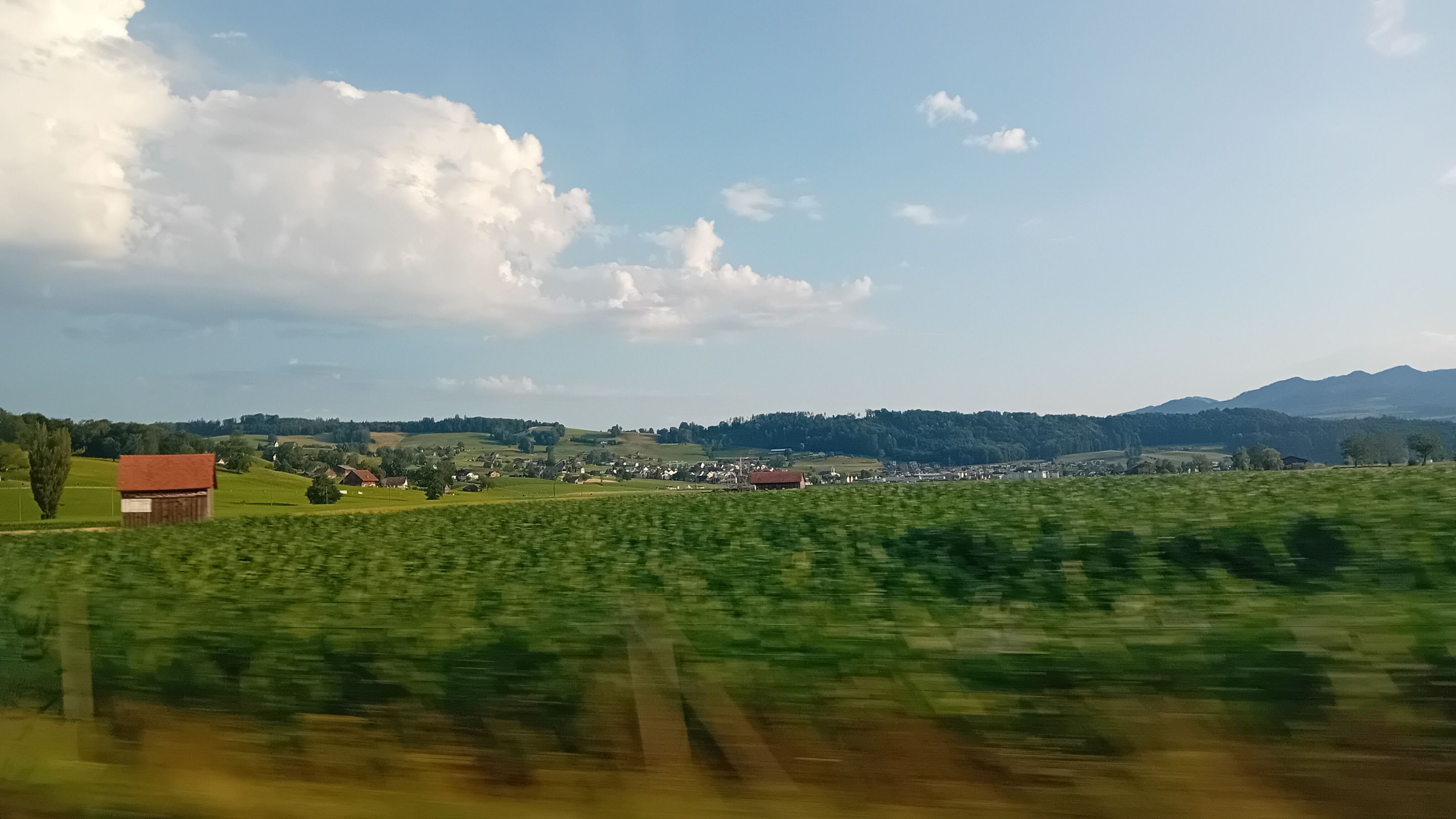 20250703_070651.jpg