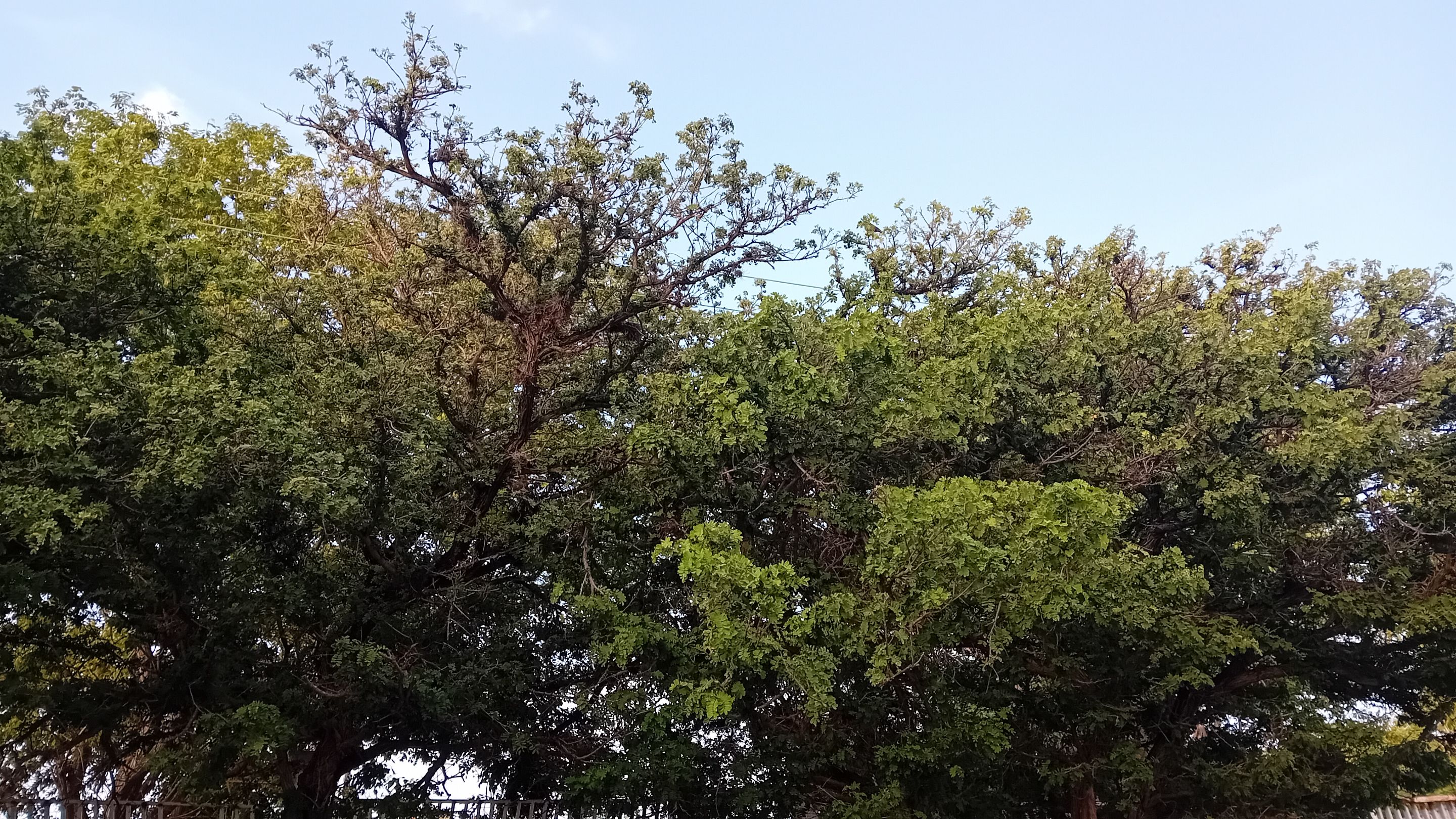 20250829_175639.jpg