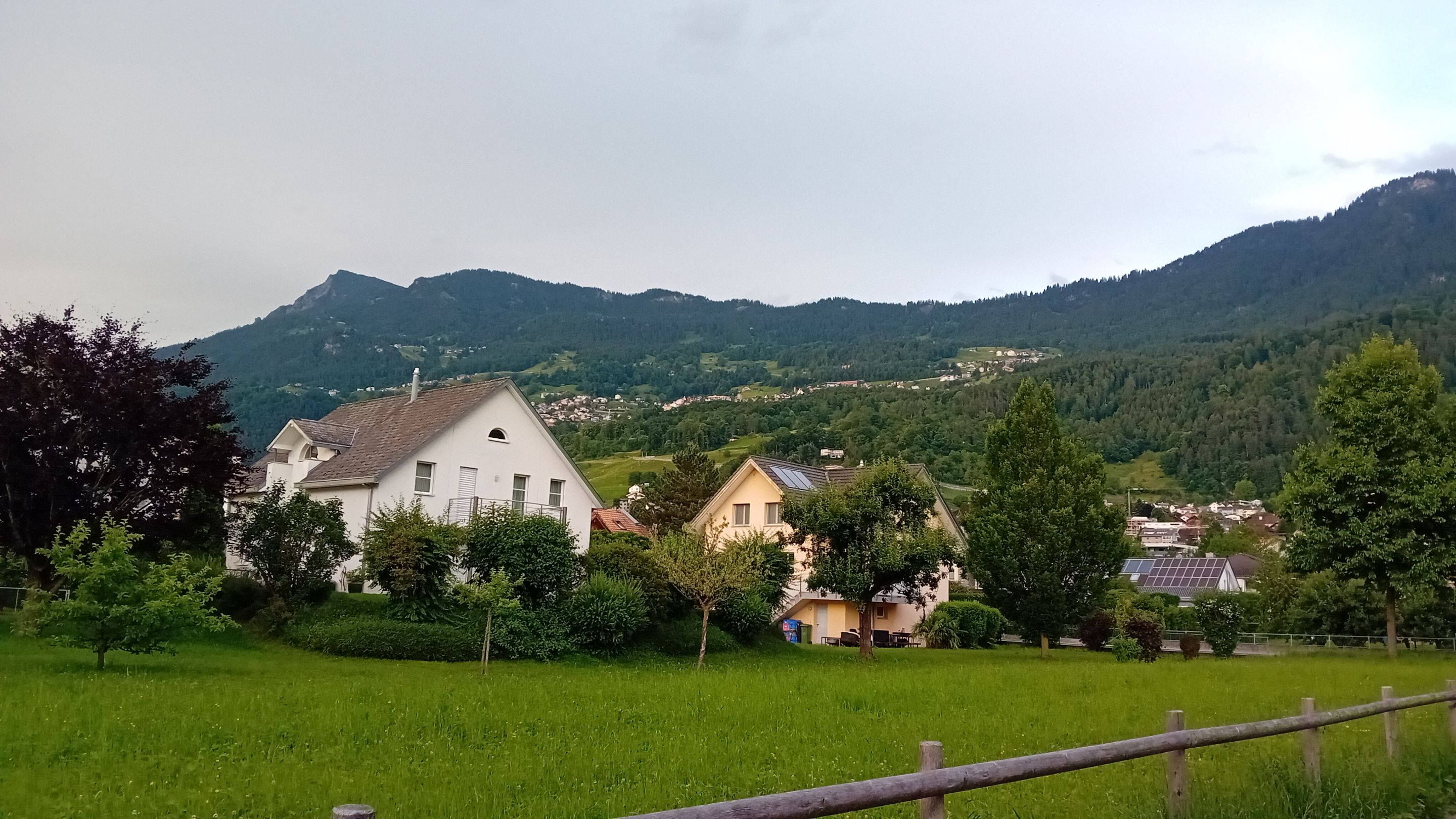 20250606_201527.jpg