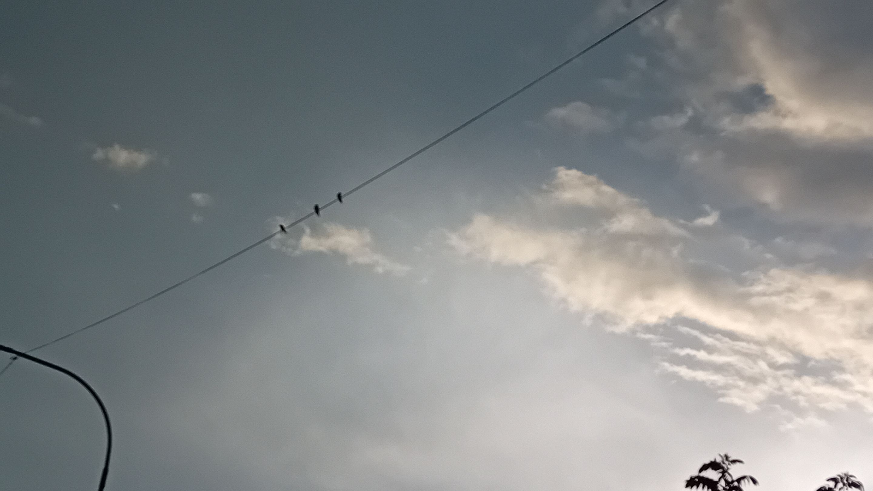 20250904_175704.jpg
