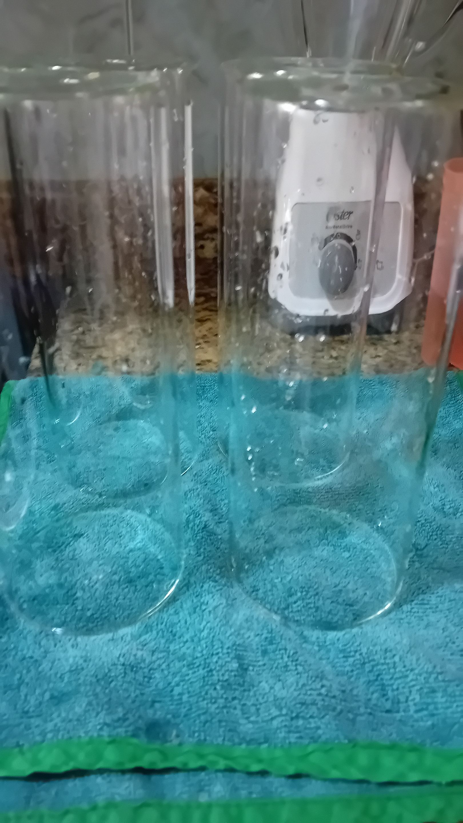 20250910_121652.jpg