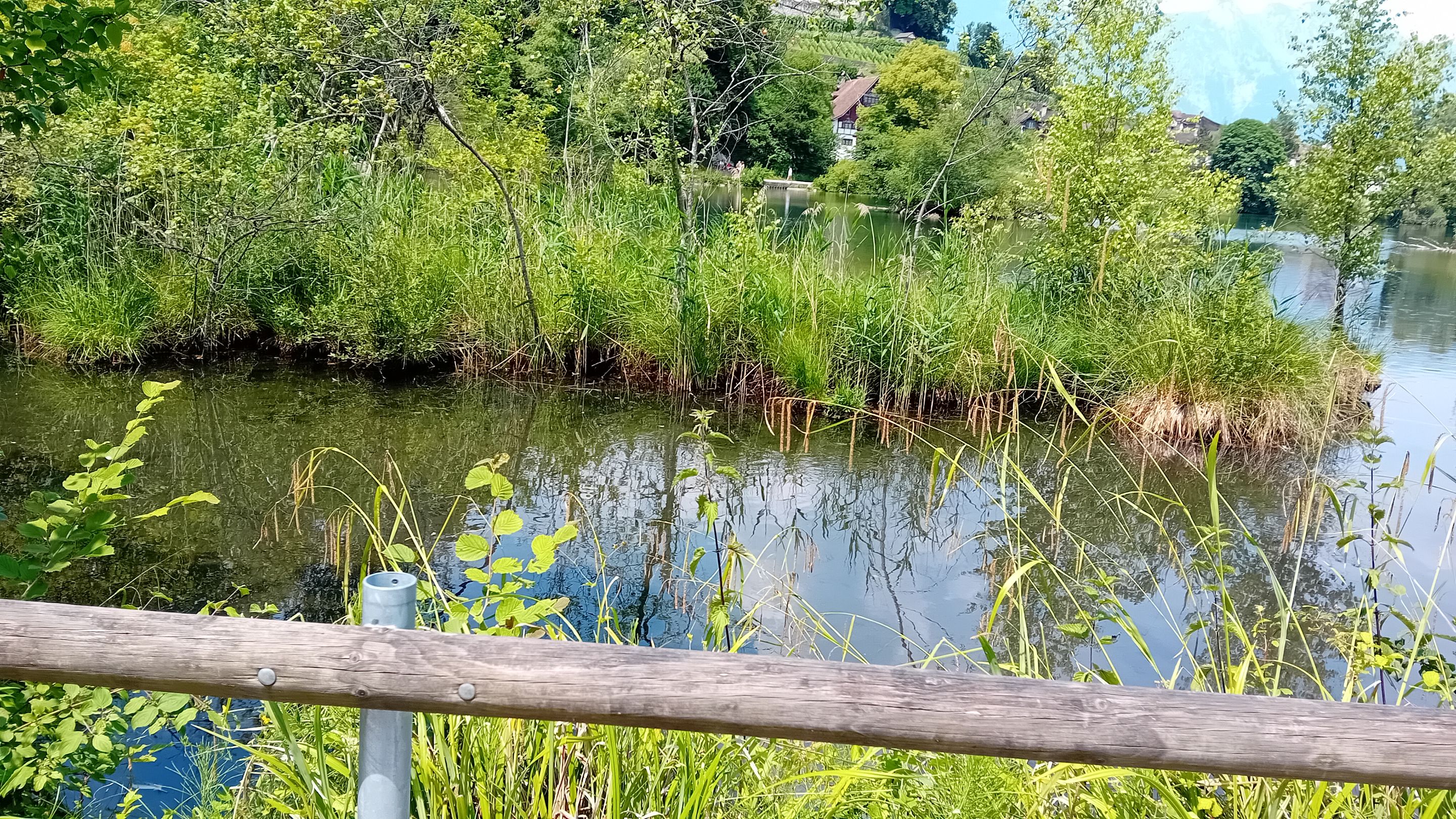 20250621_131526.jpg