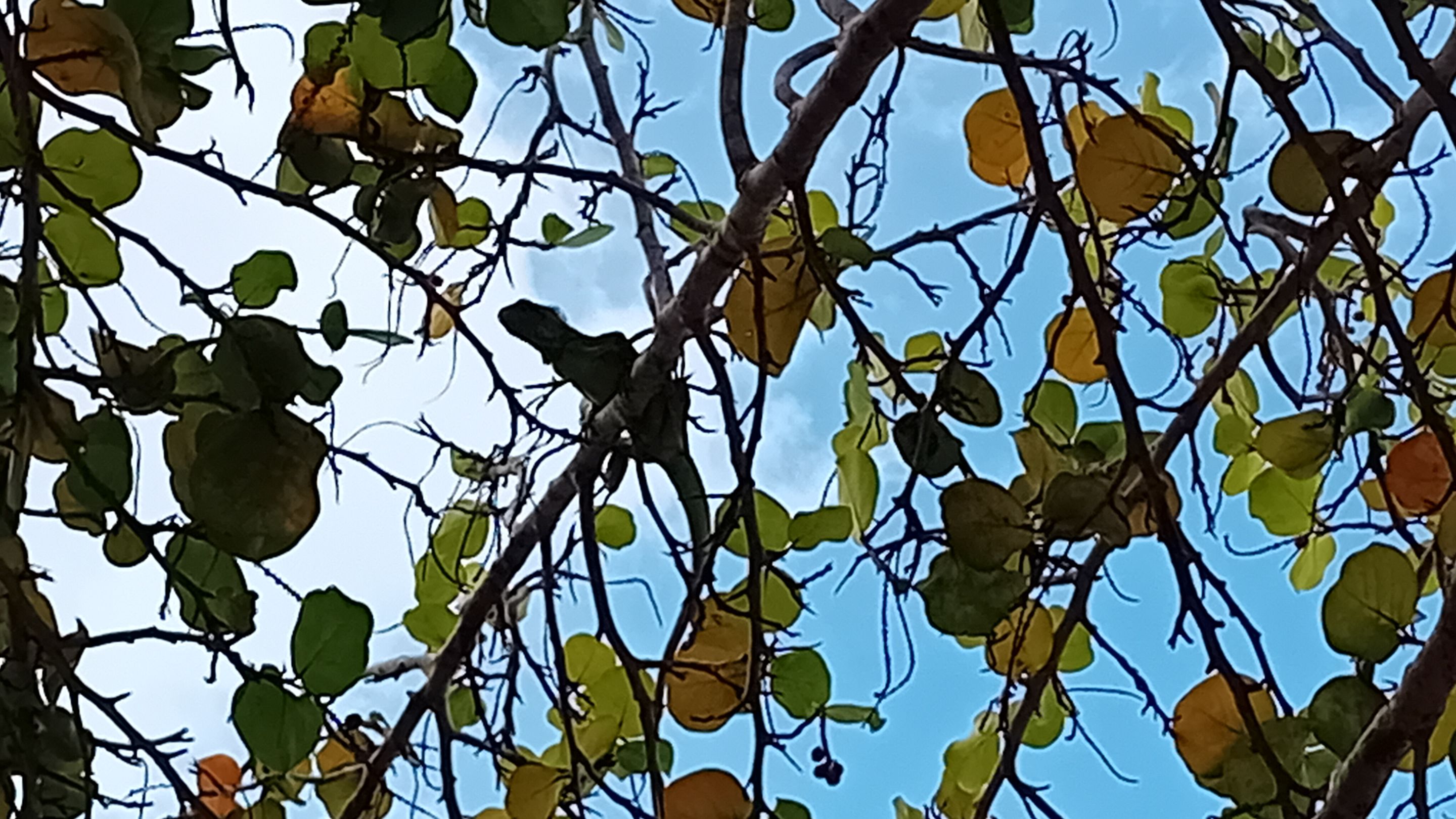 20250831_170852.jpg