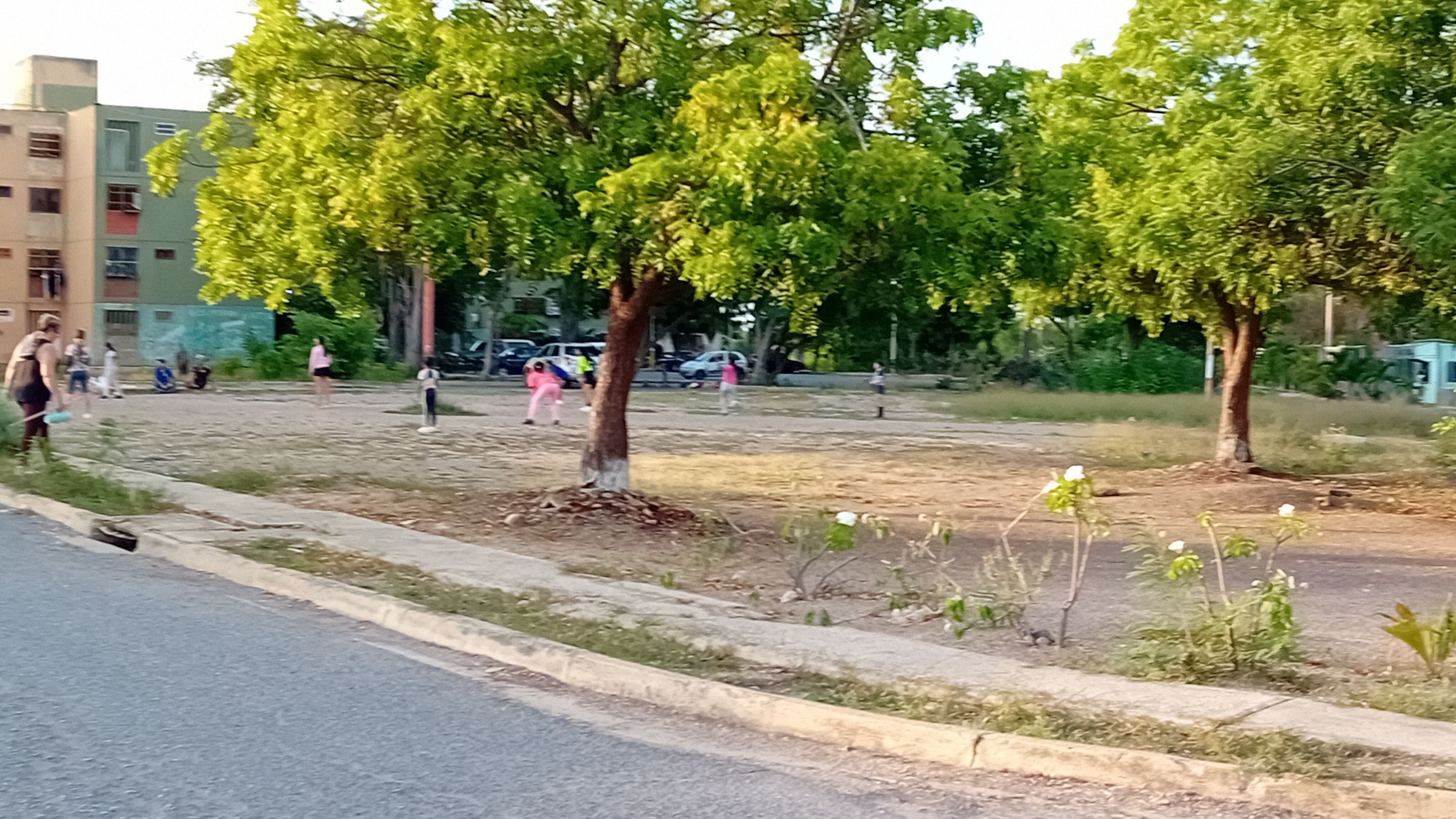20250923_173618.jpg