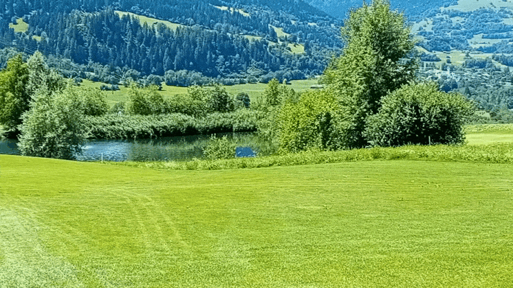 GIF_20250701_064749_772.gif