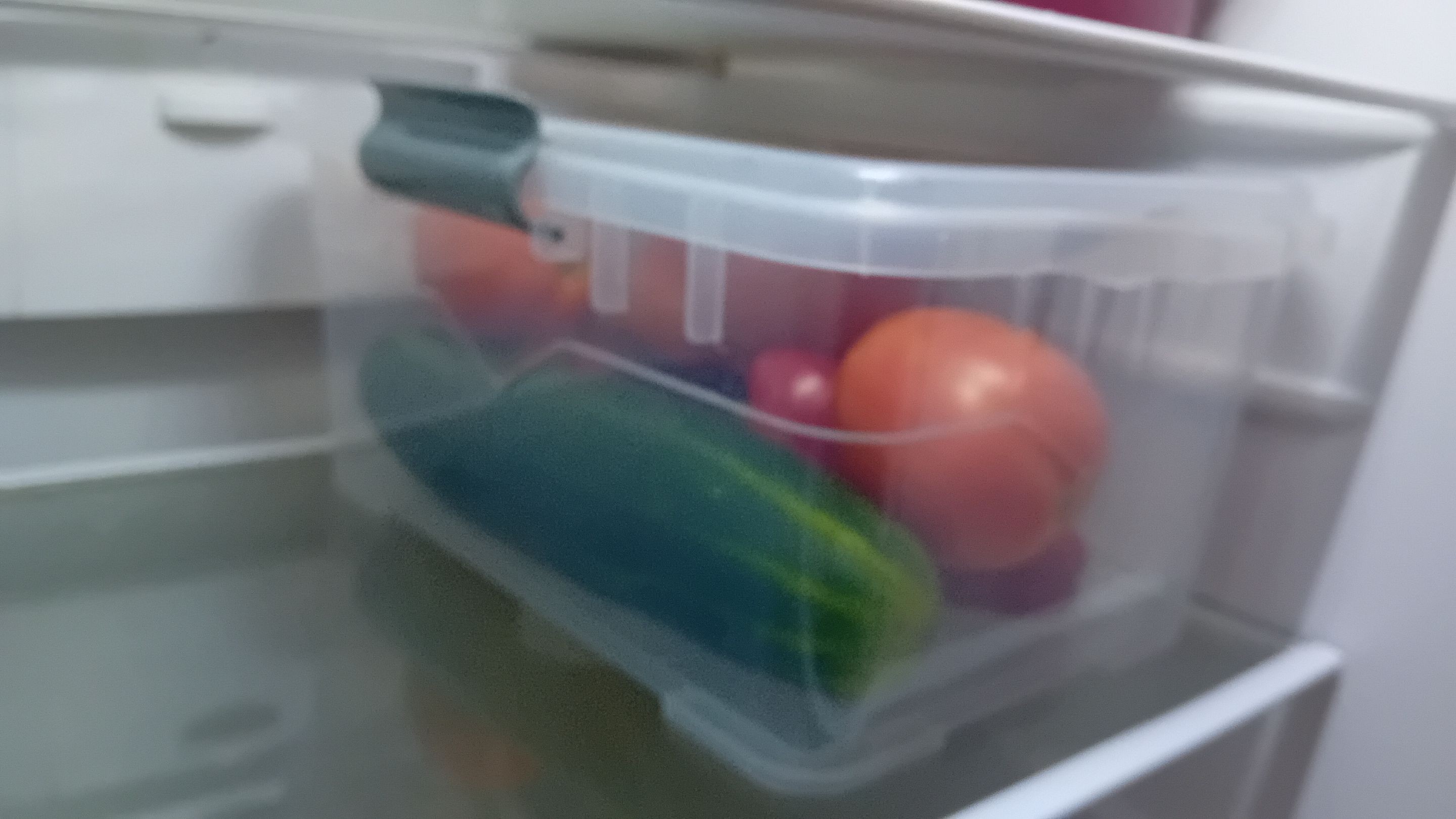 20250918_101131.jpg