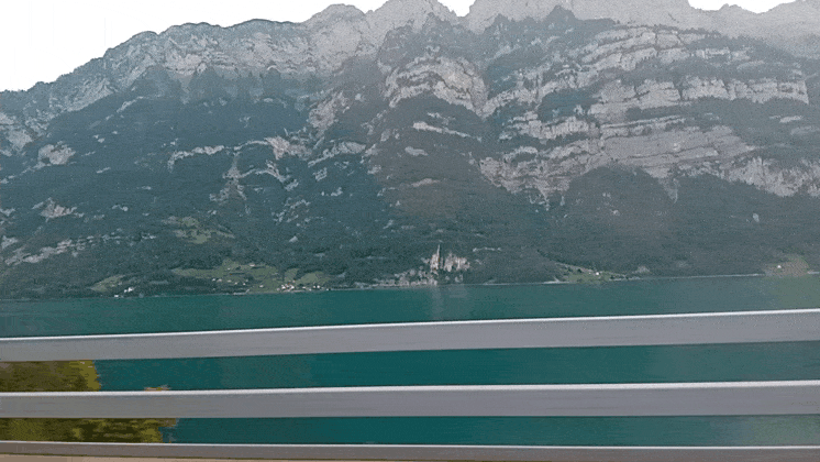 GIF_20250815_062919_330.gif