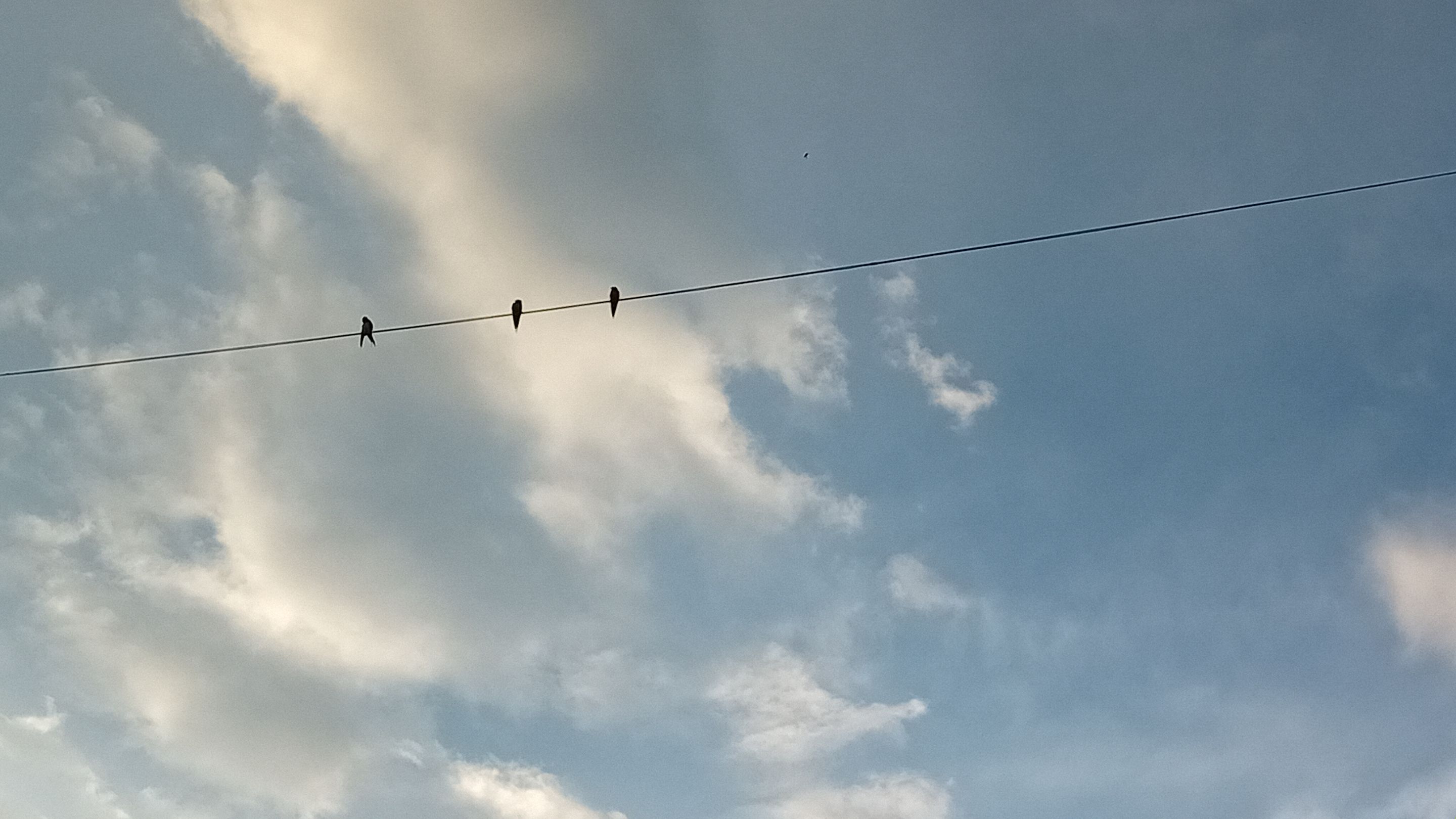 20250904_175653.jpg