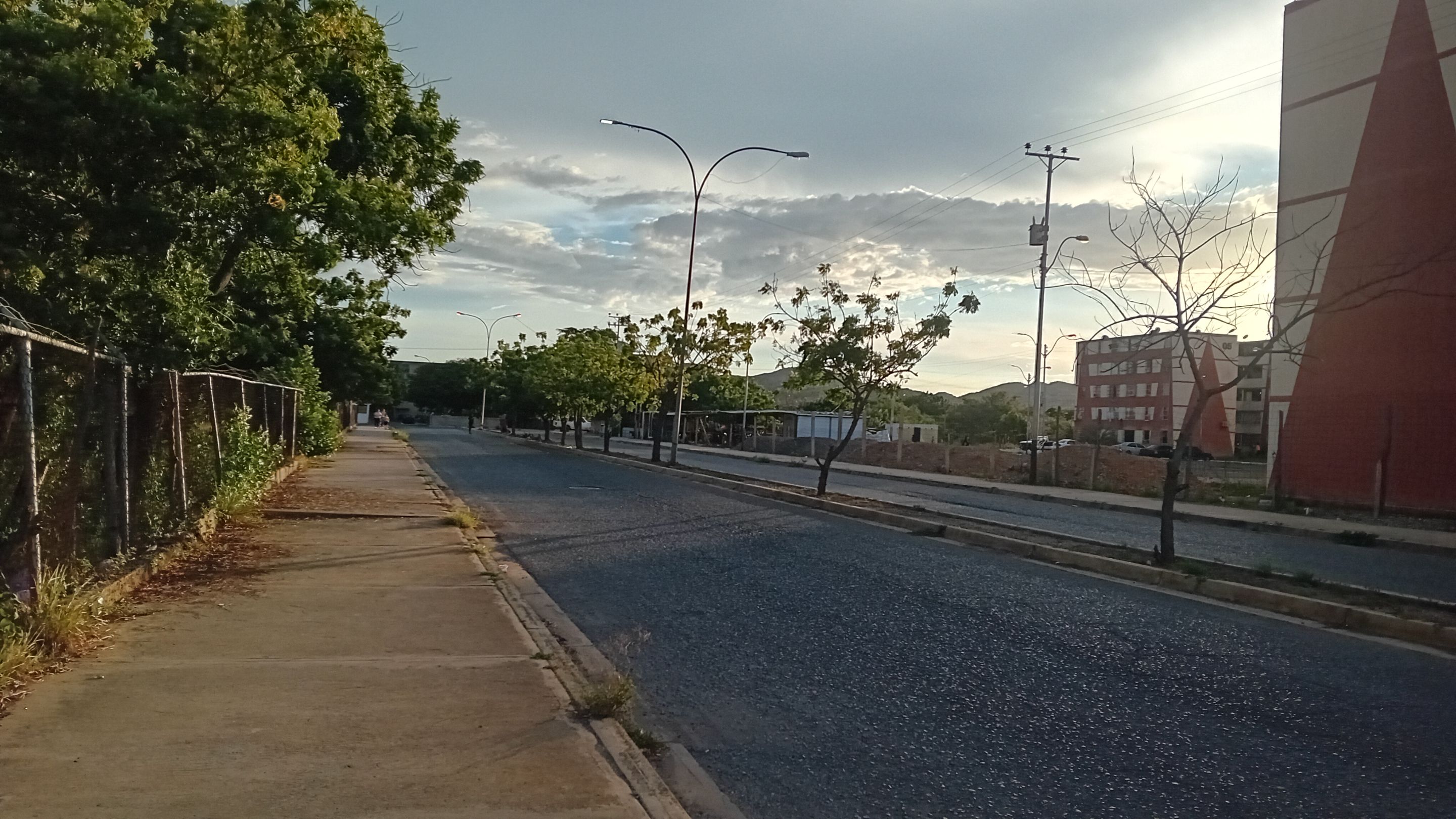 20250904_175204.jpg