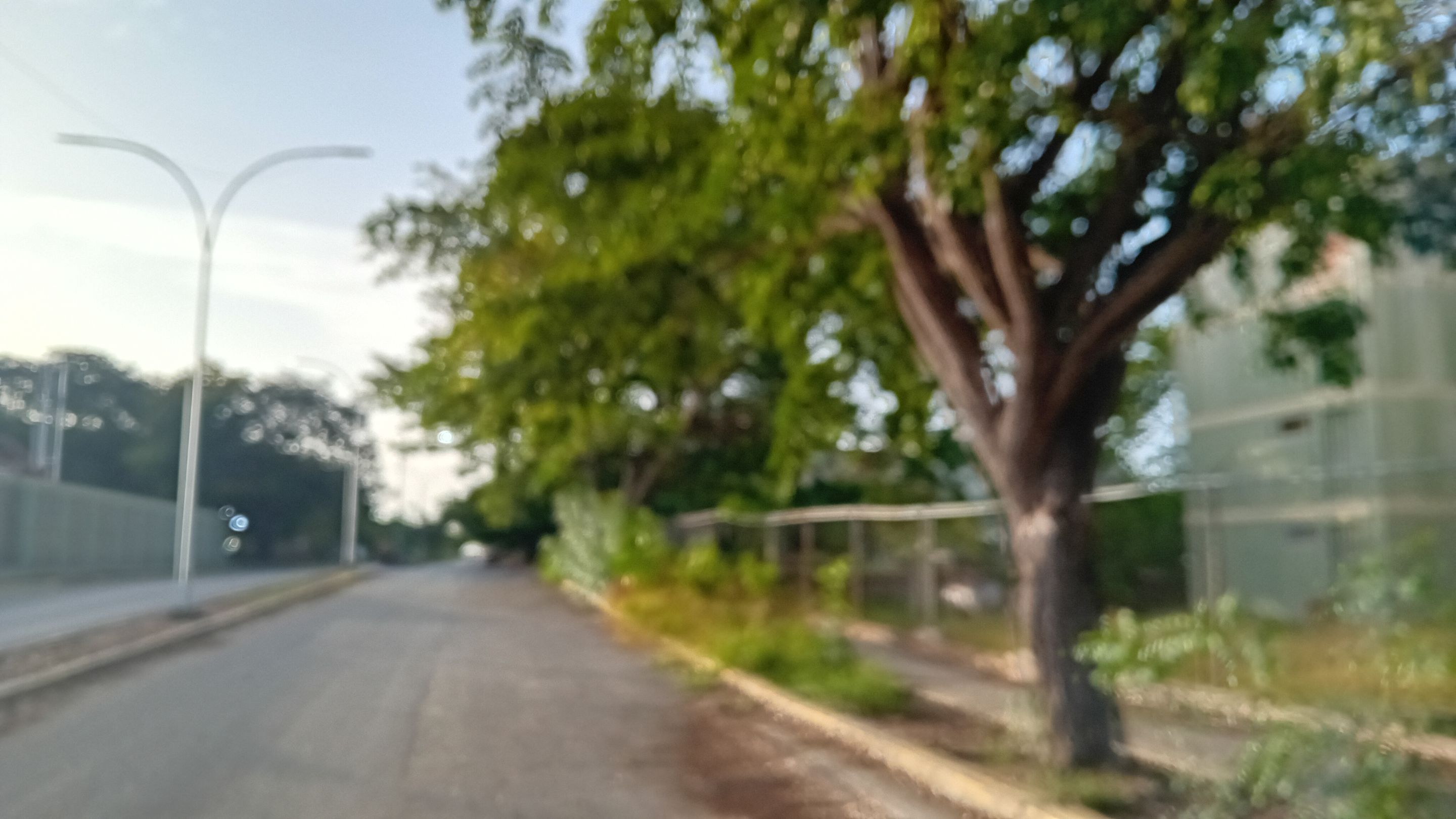 20250829_173523.jpg