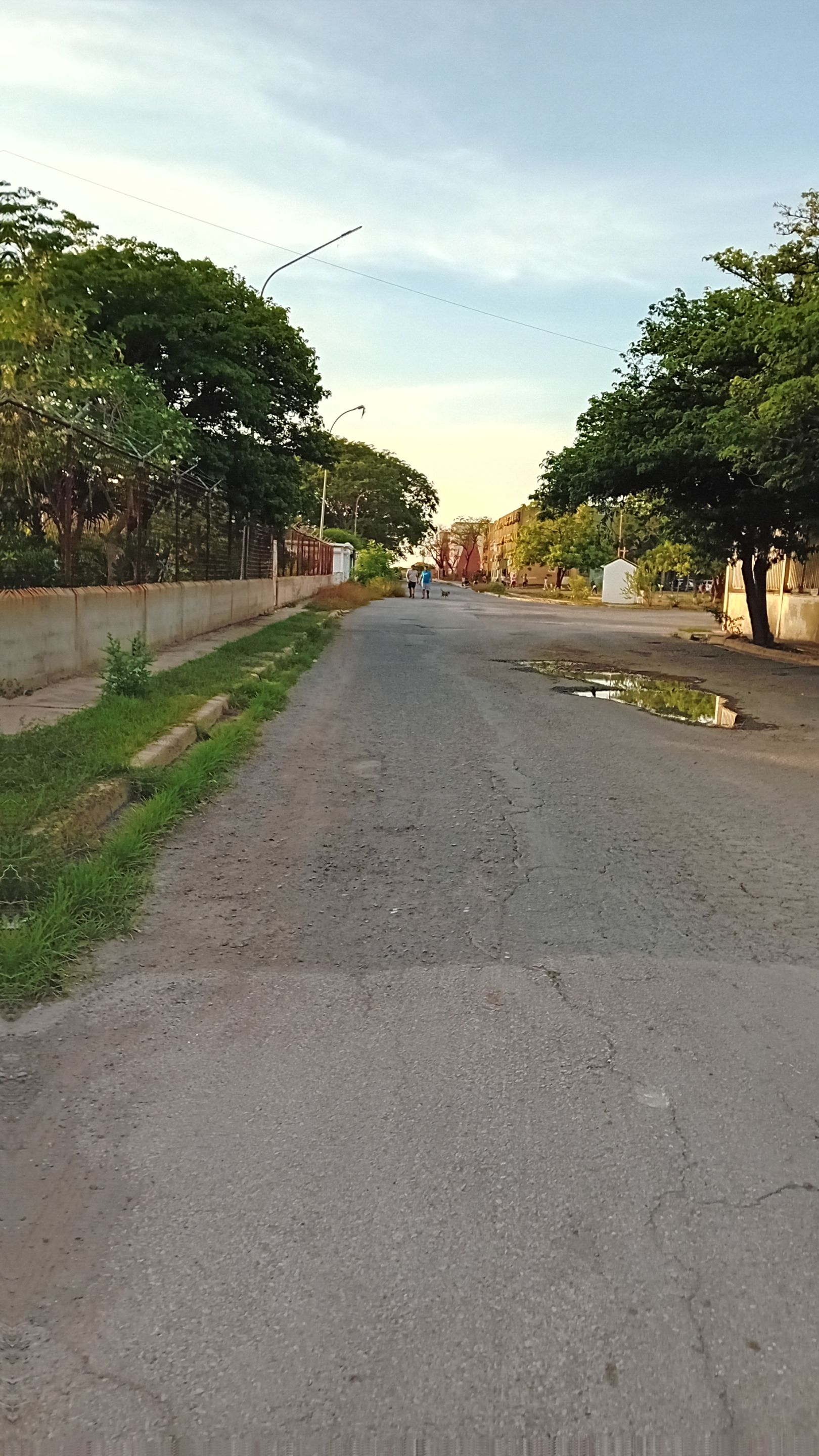 20250923_173524.jpg