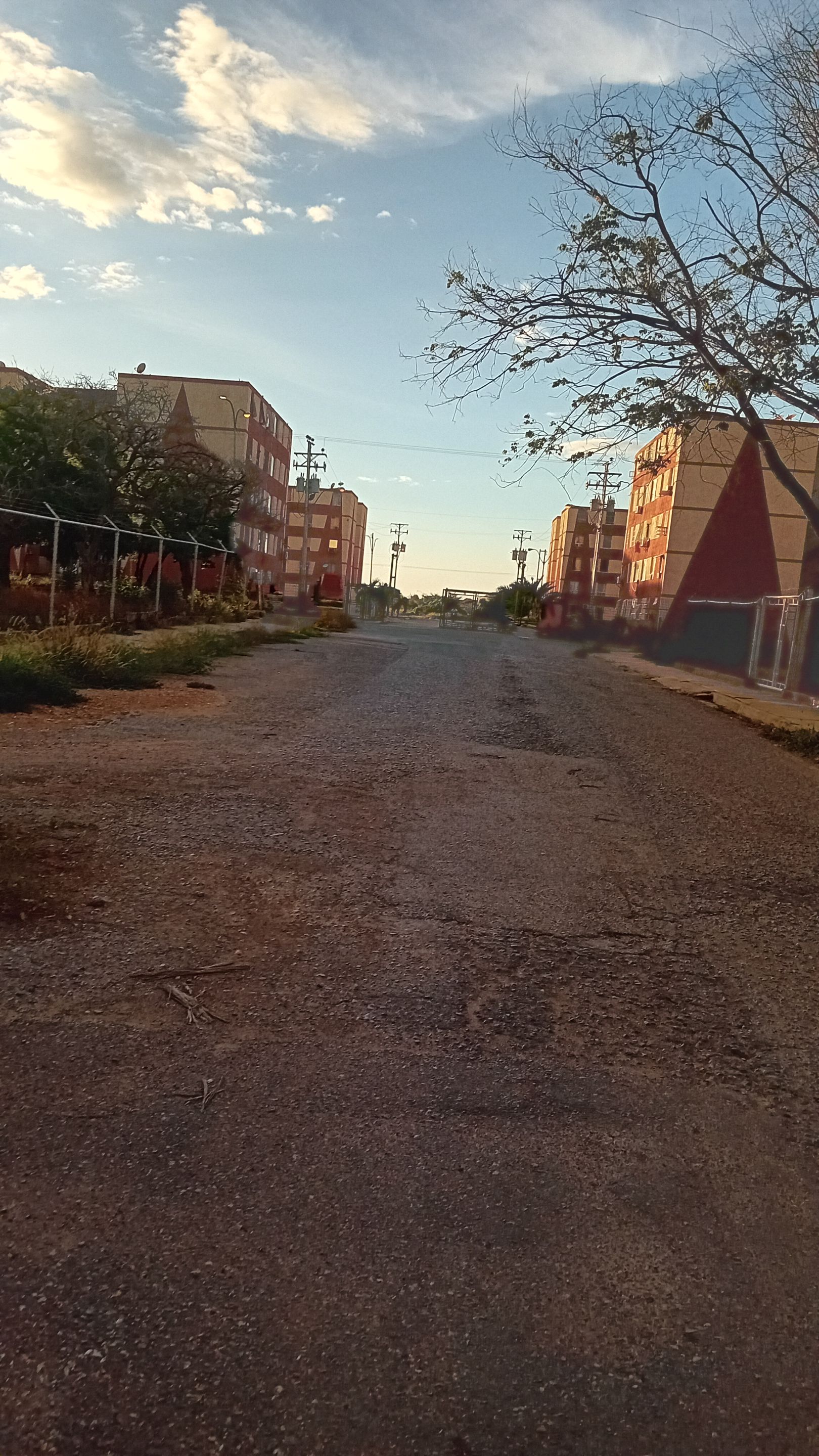 20250904_175130.jpg