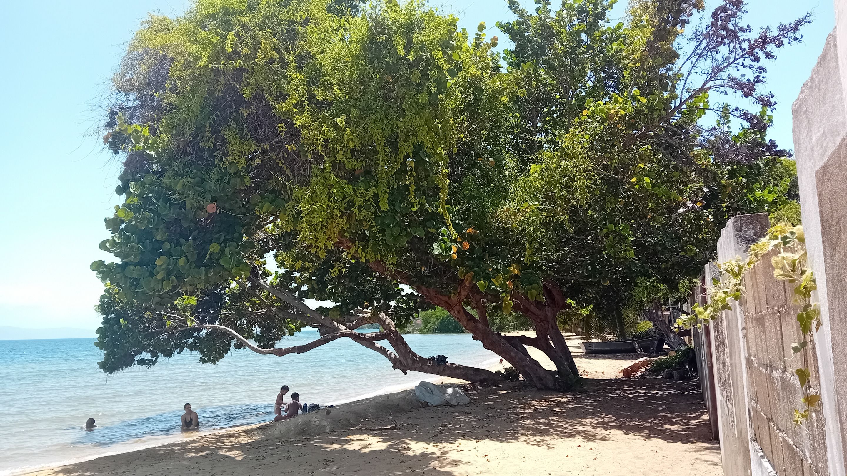 20250831_110852.jpg