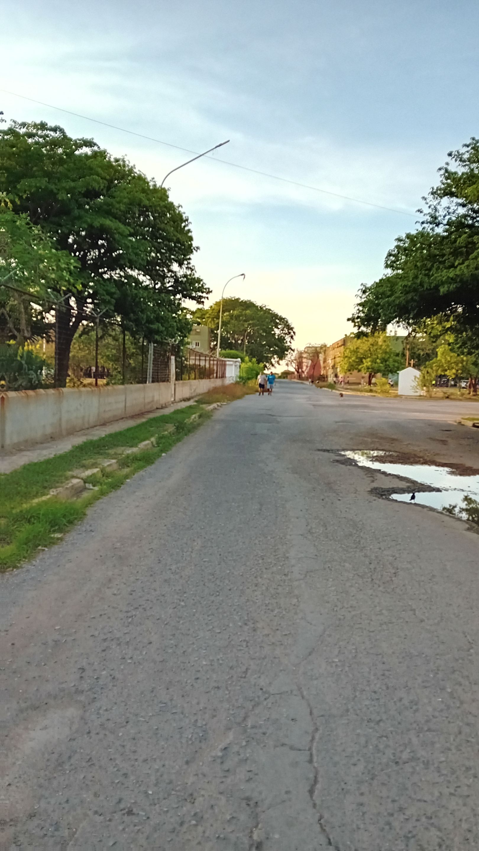 20250923_173530.jpg