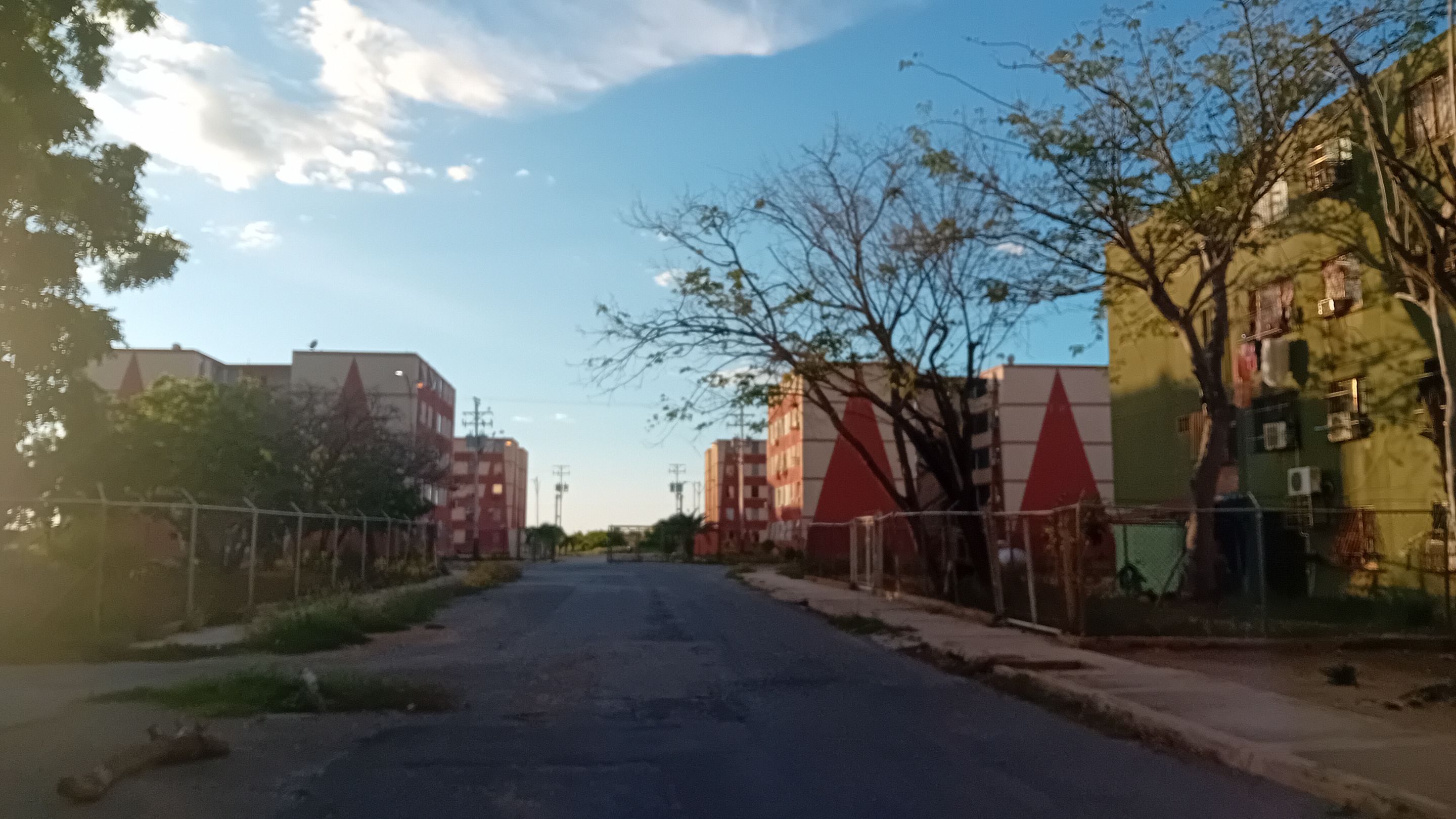 20250904_175125.jpg