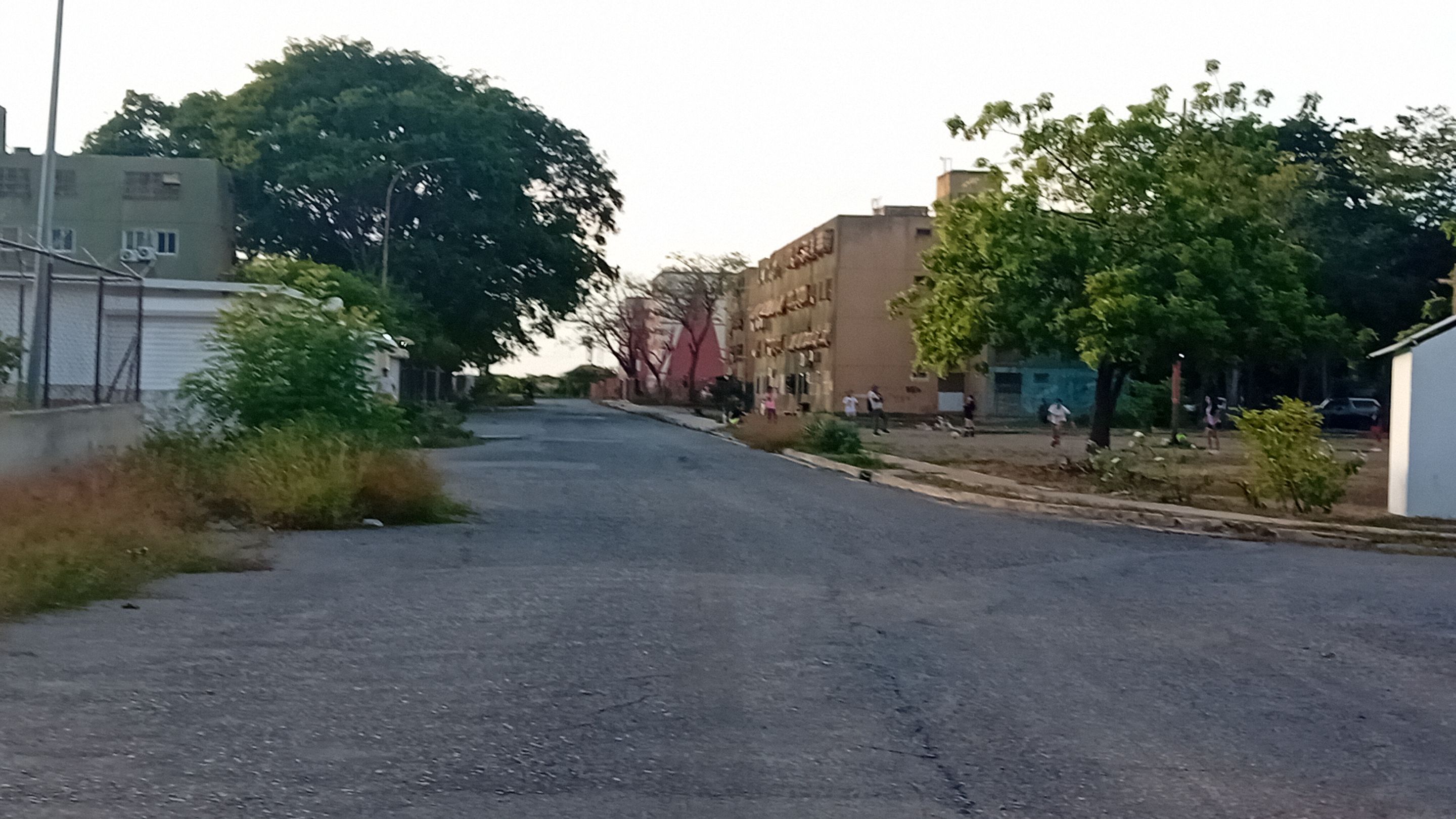 20250903_175420.jpg