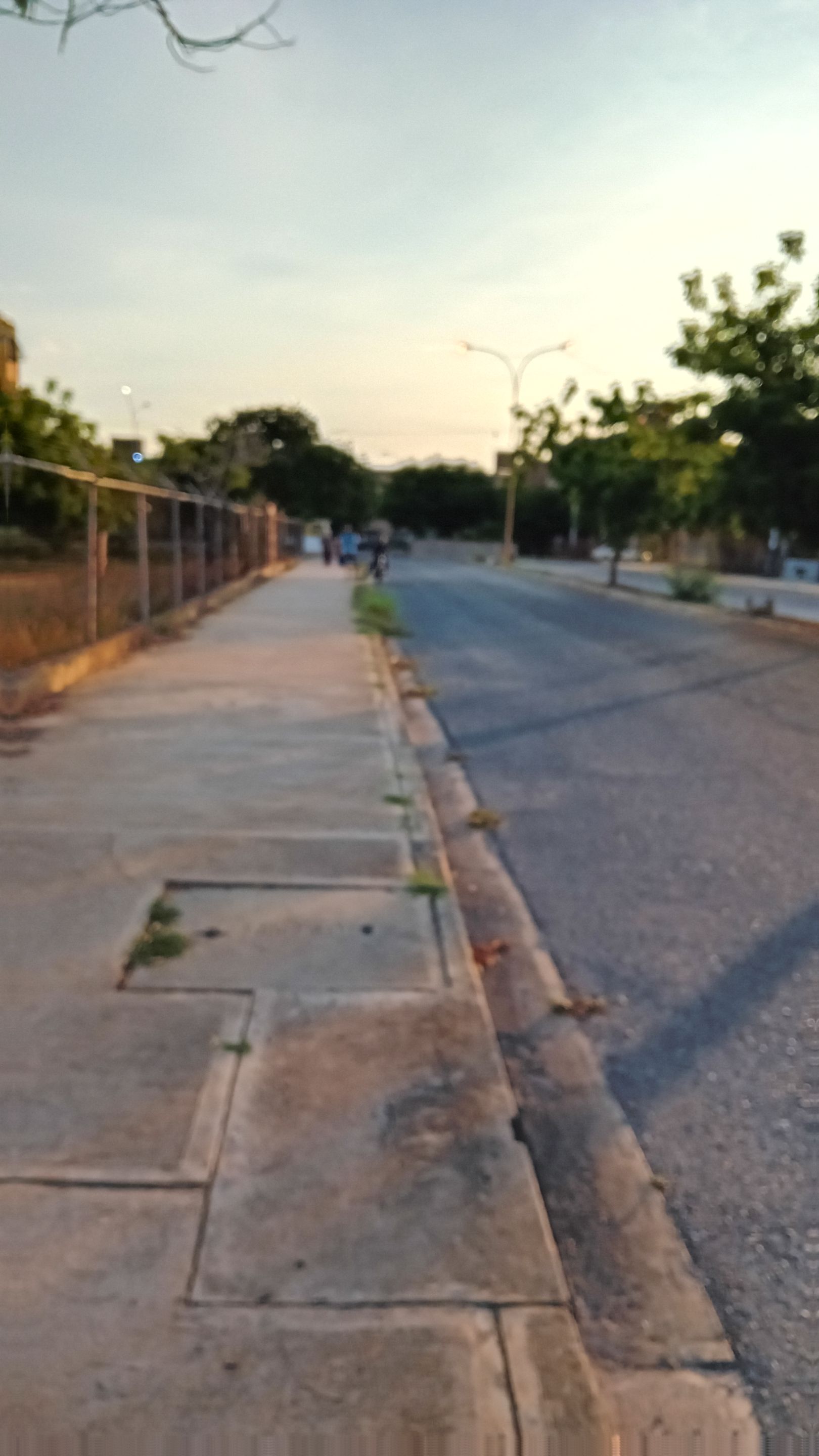 20250923_173911.jpg