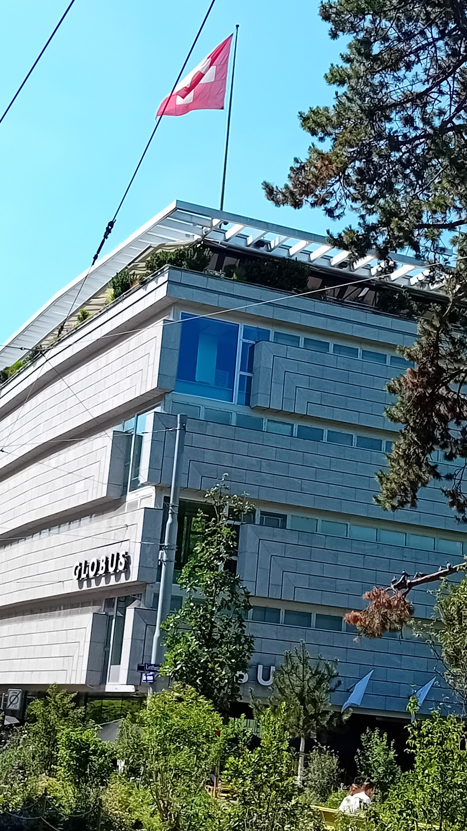 20250619_155225.jpg