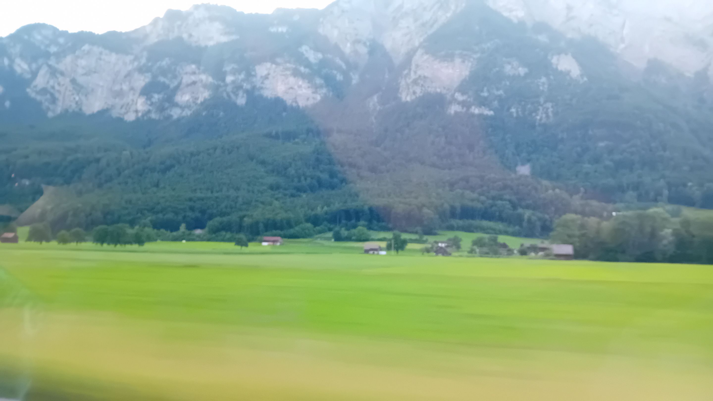 20250703_064453.jpg