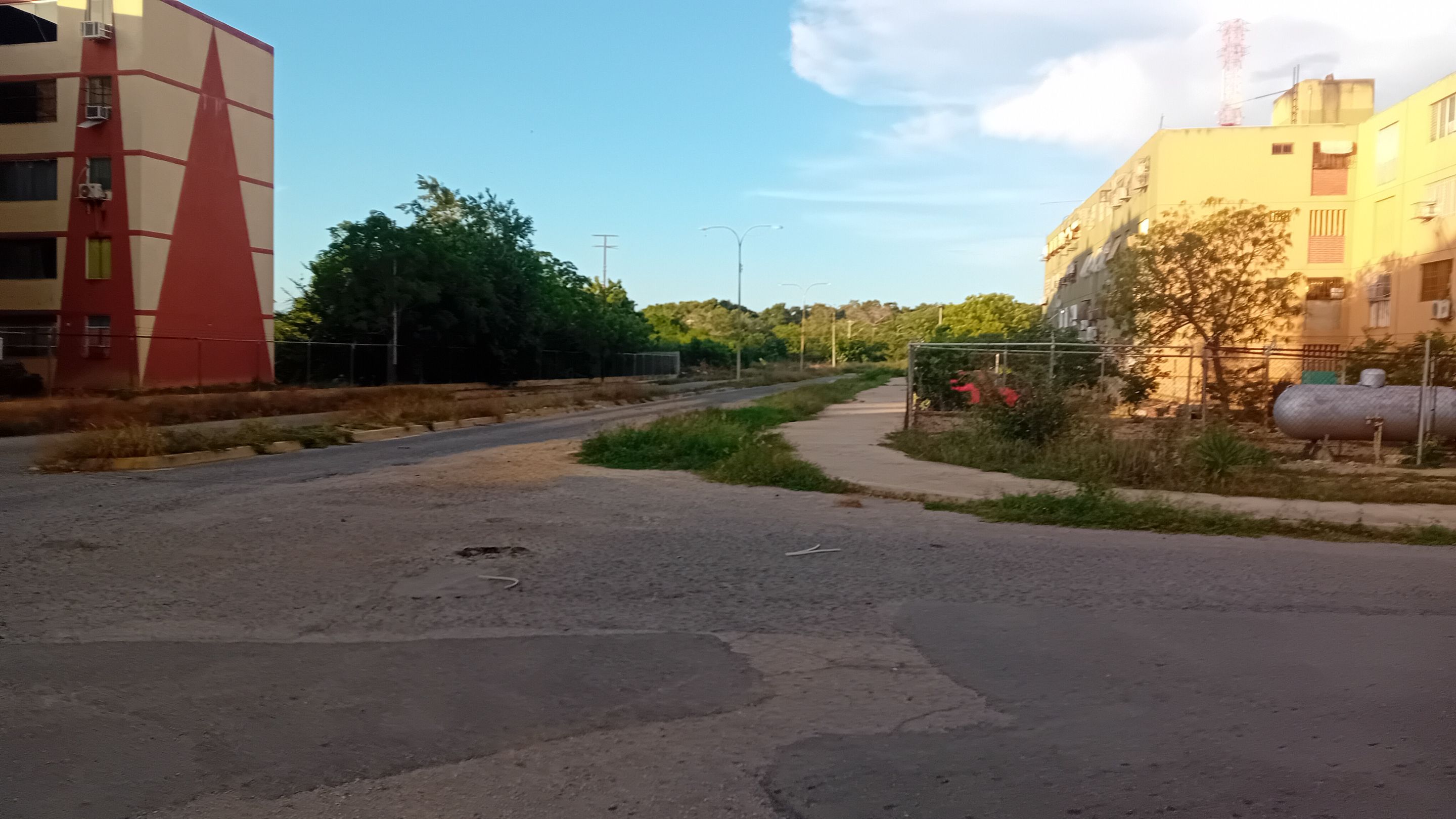 20250904_175159.jpg