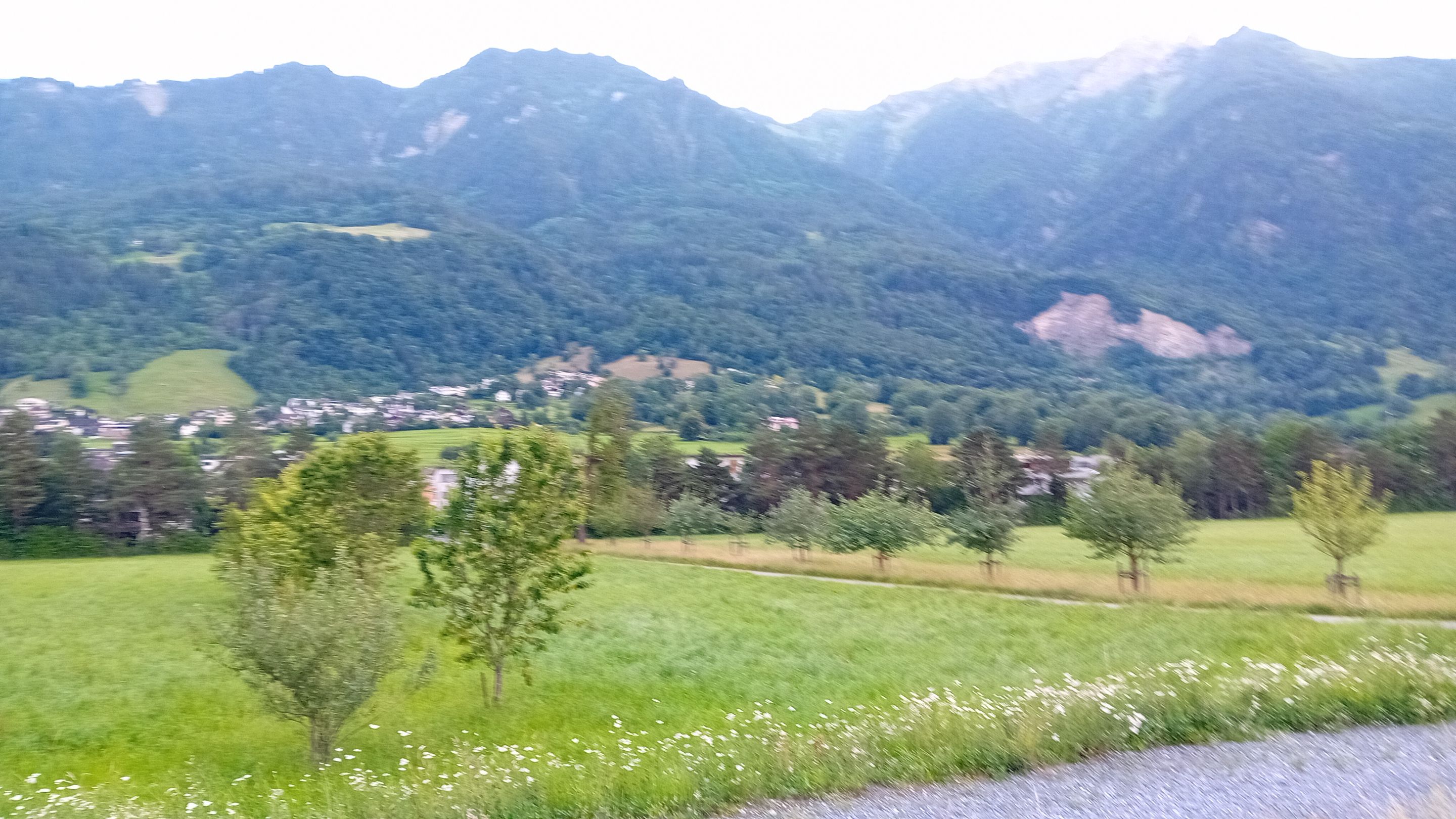 20250606_200011.jpg