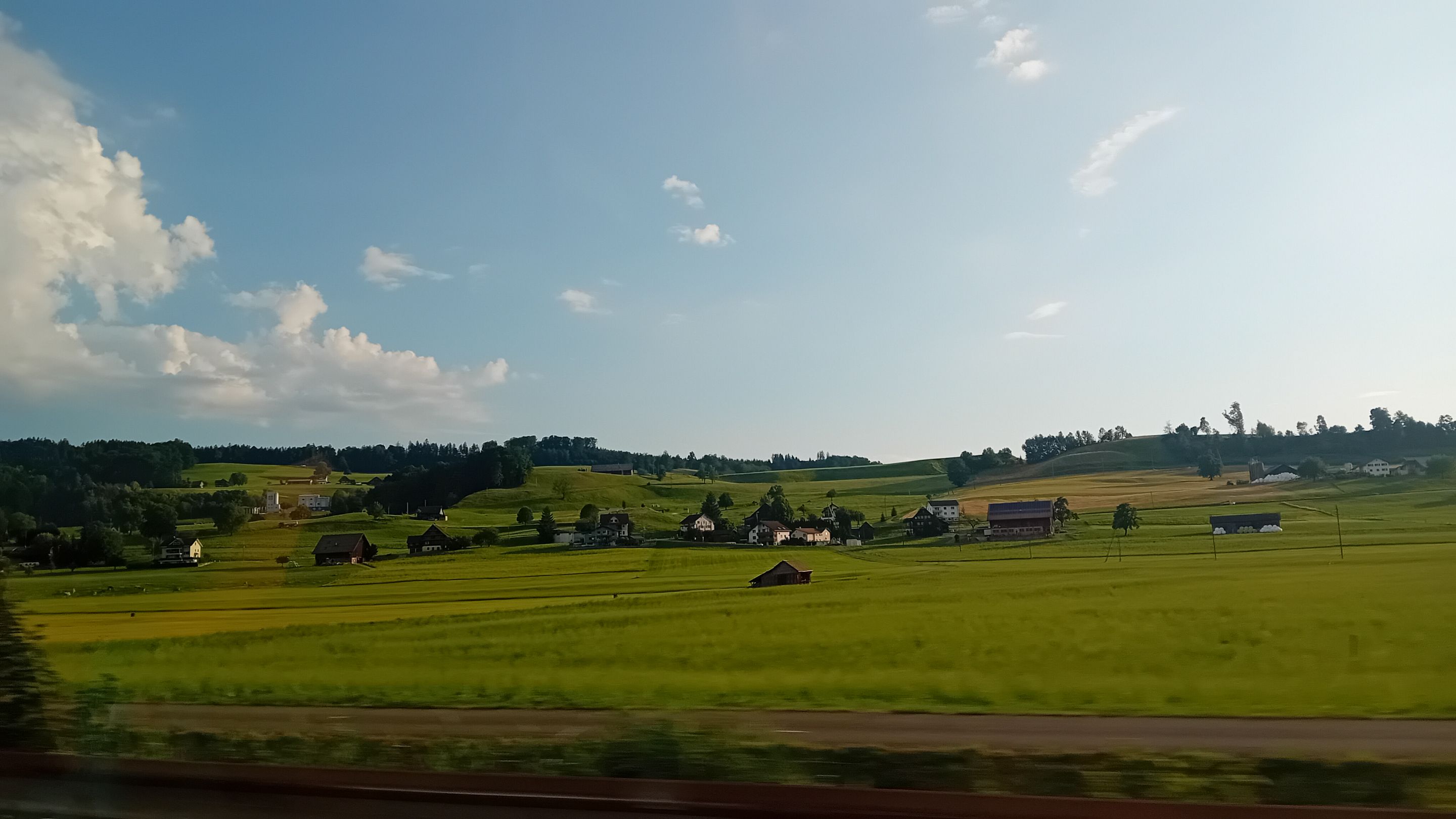 20250703_070755.jpg