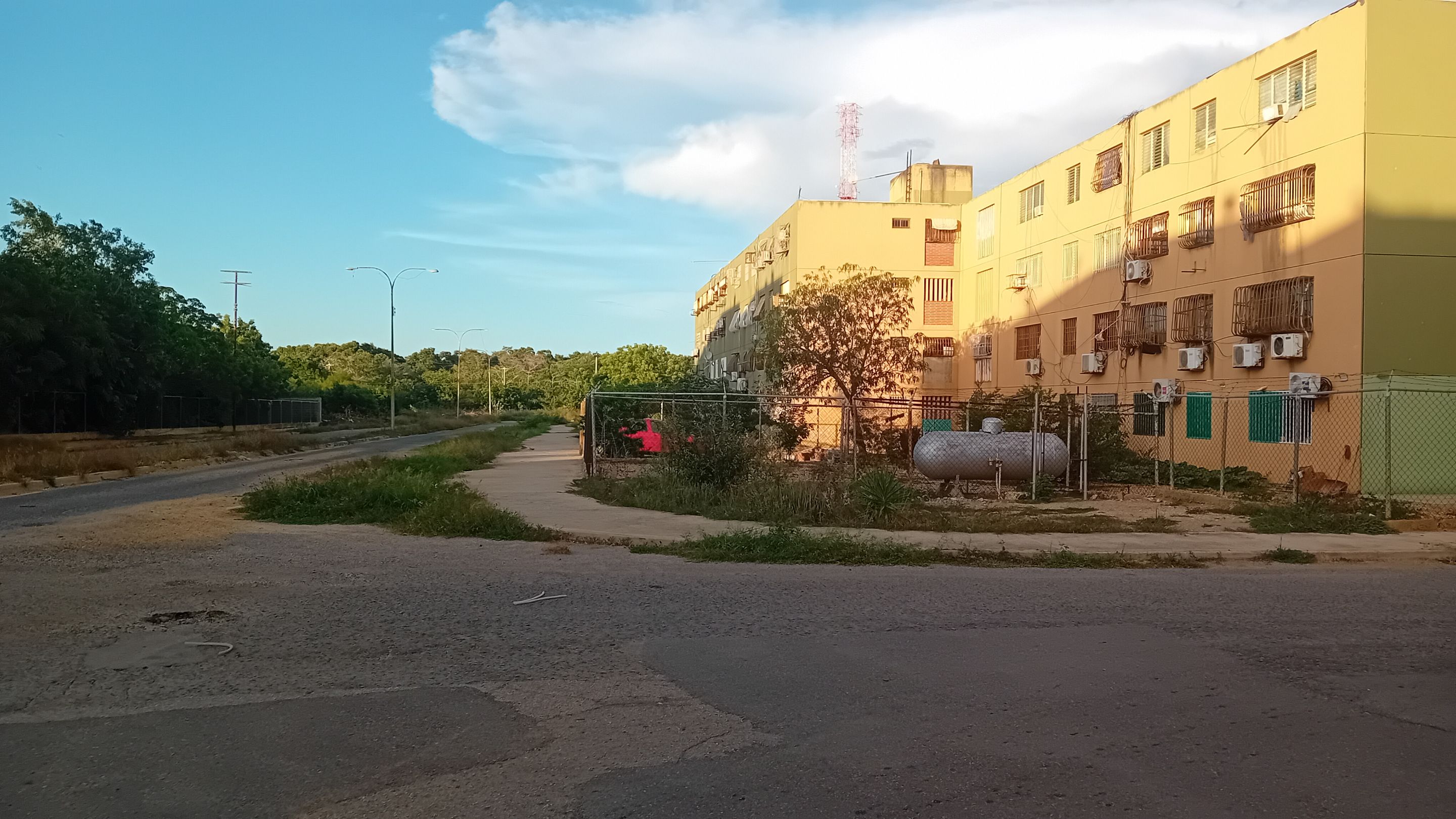 20250904_175201.jpg