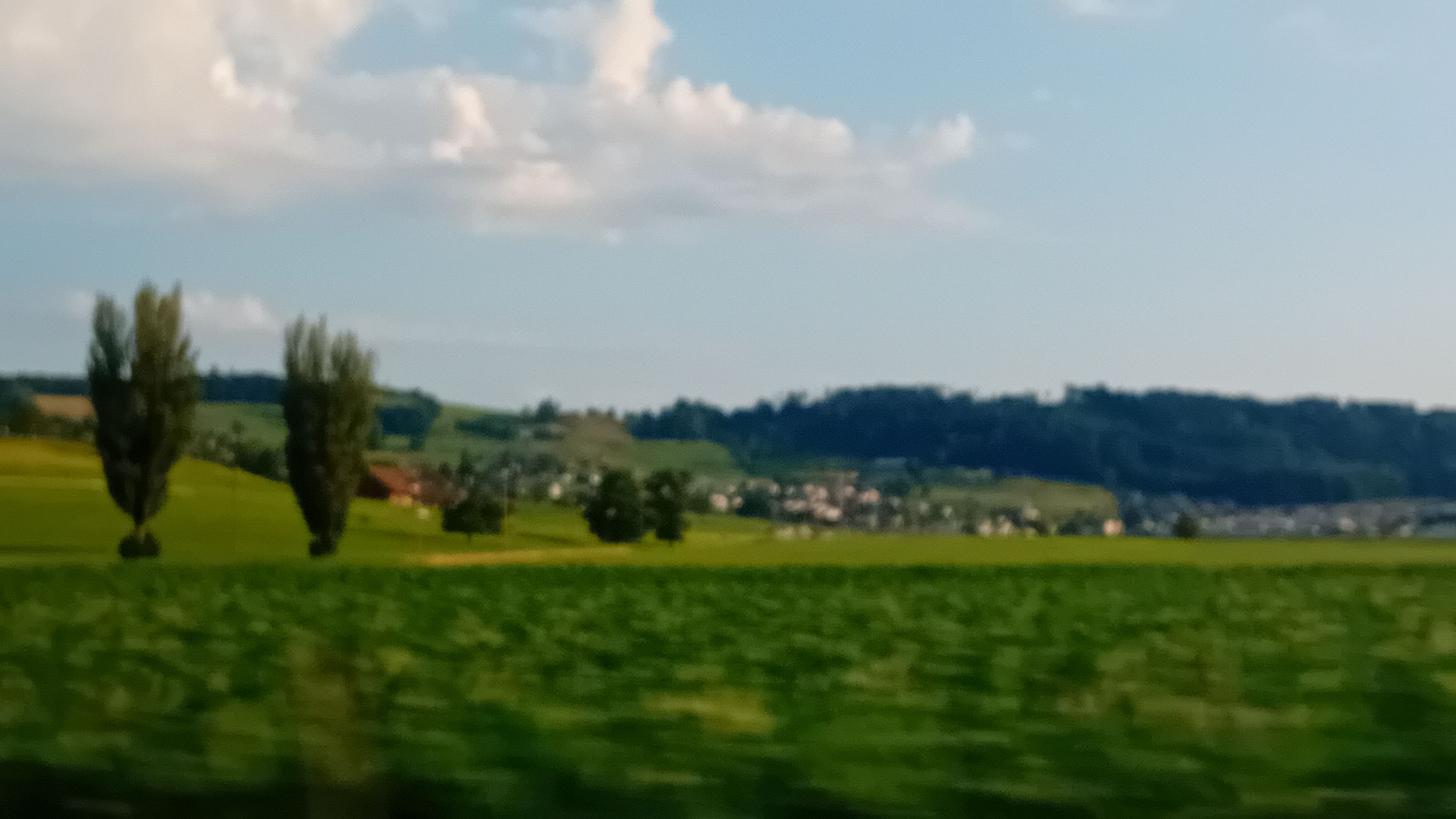 20250703_070655.jpg
