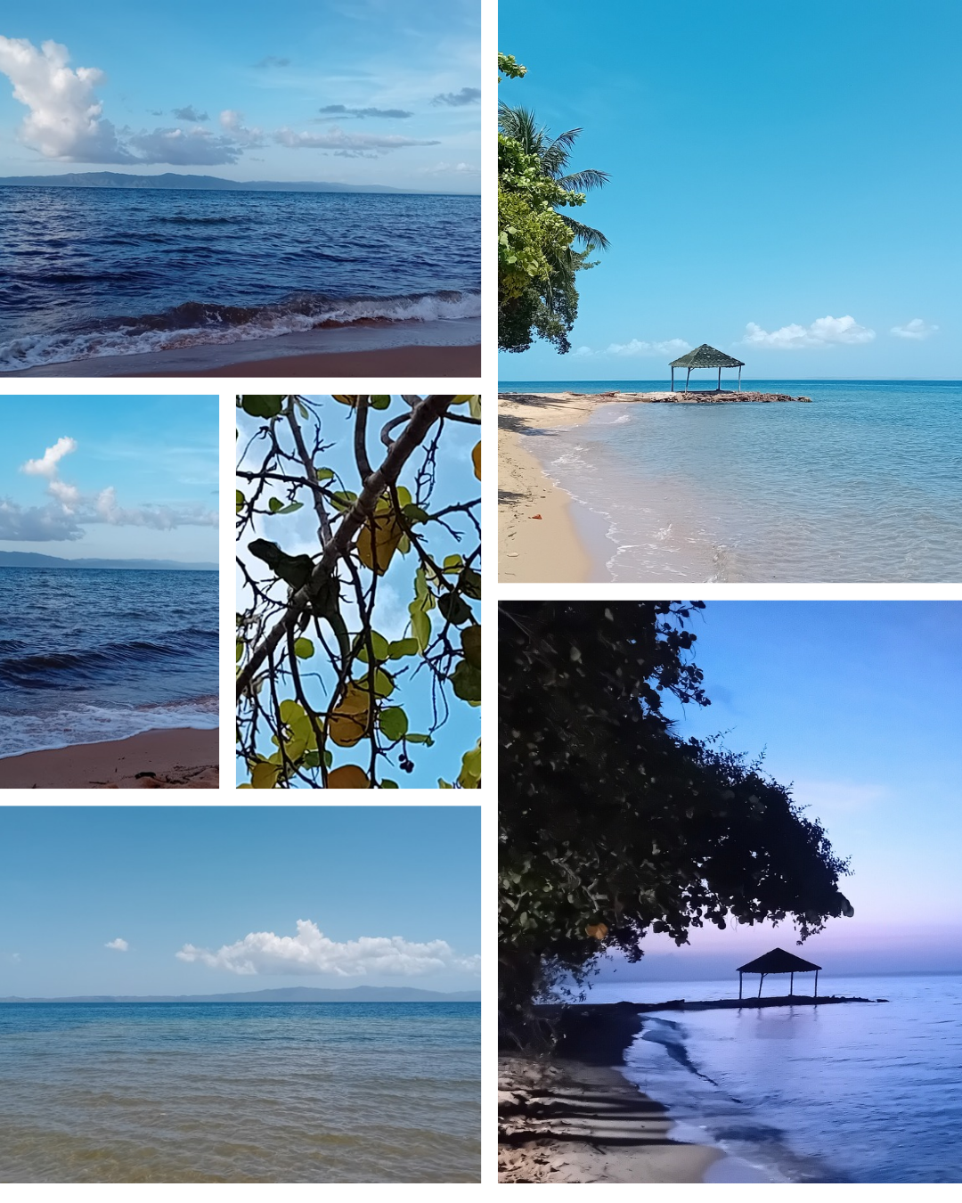 White Beige Tropical Villa Photo Collage Instagram Post_20250901_153207_0000.png
