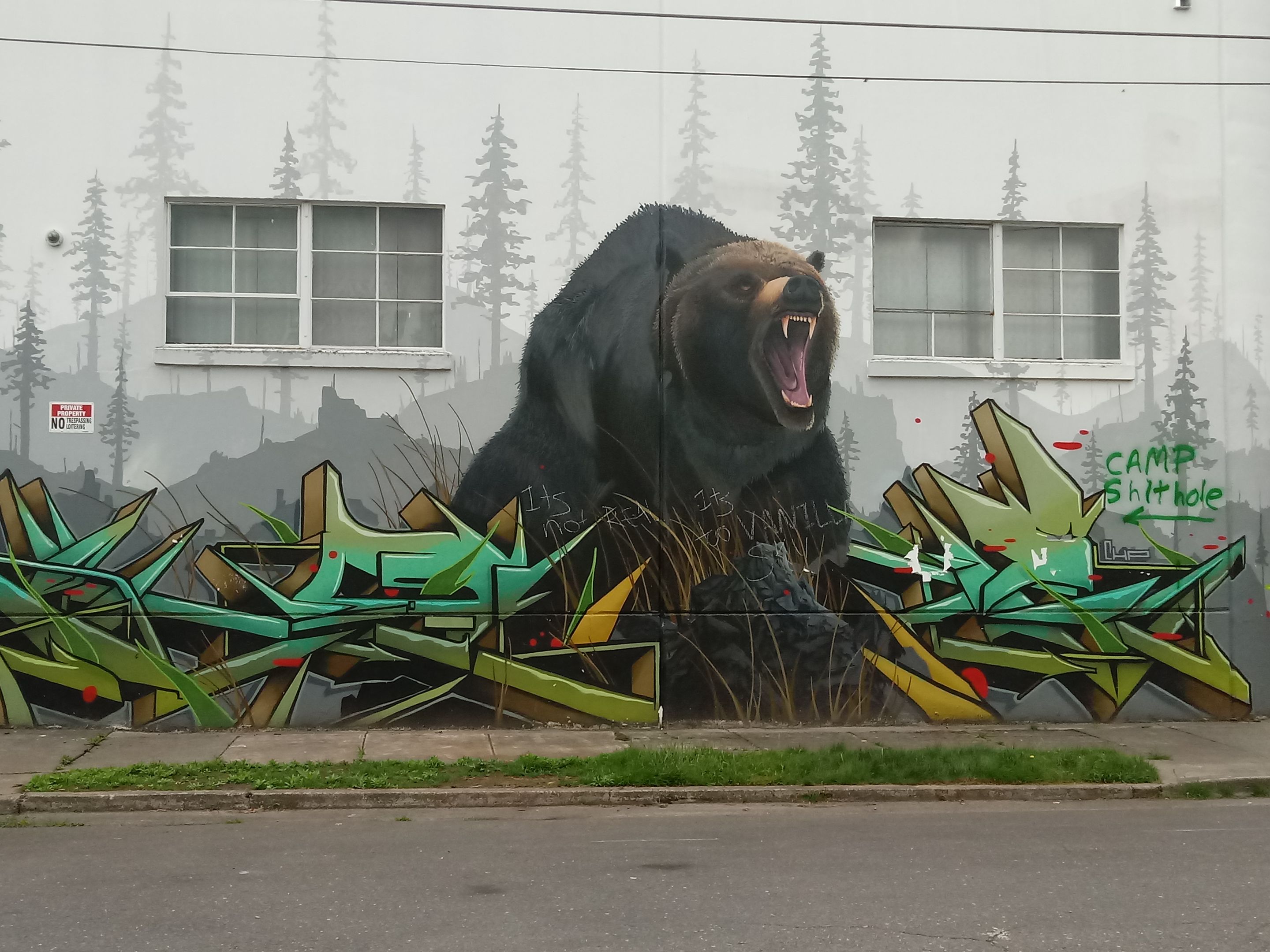 Bear5.jpg